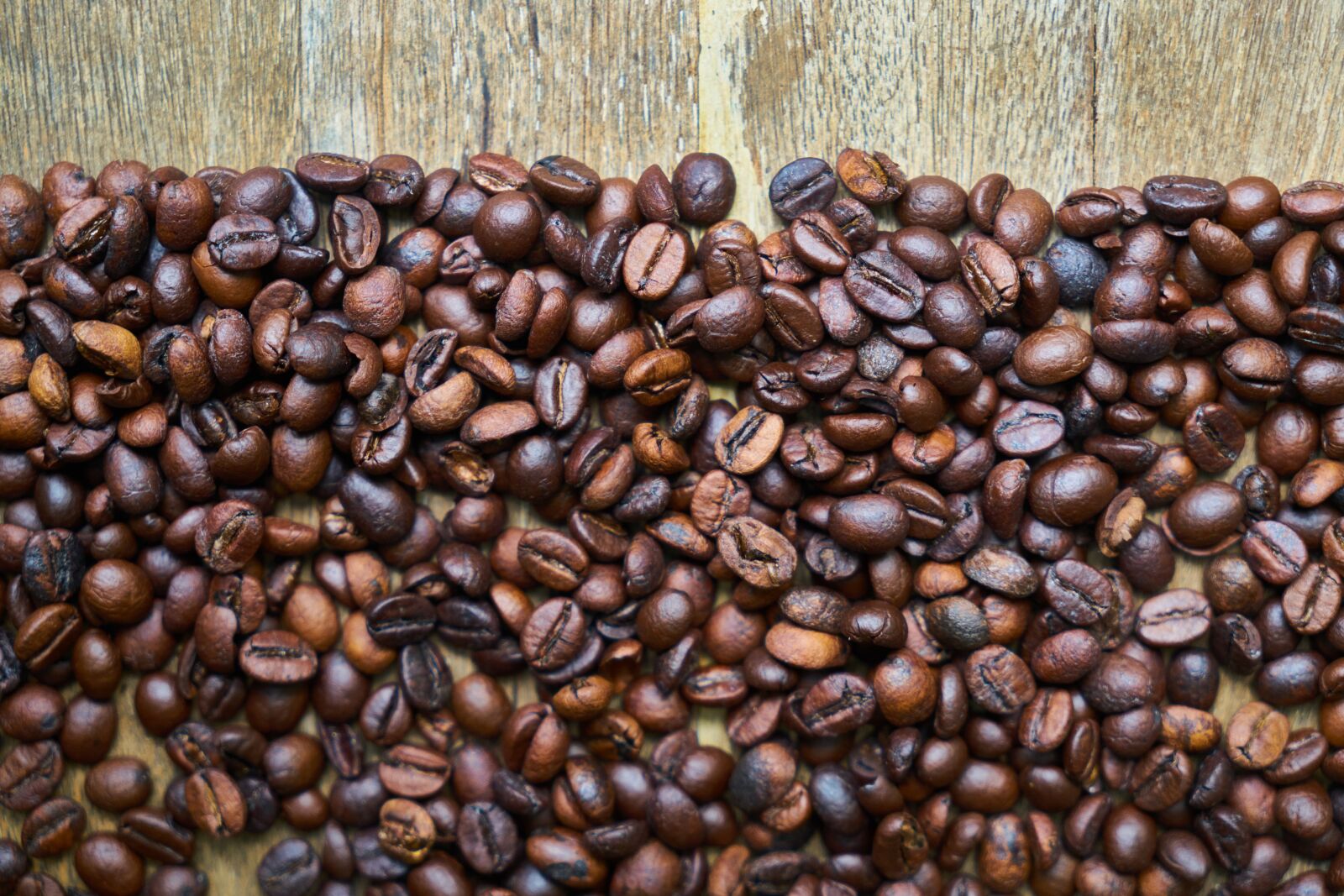 Sony a7R II sample photo. Coffee, core, texture photography