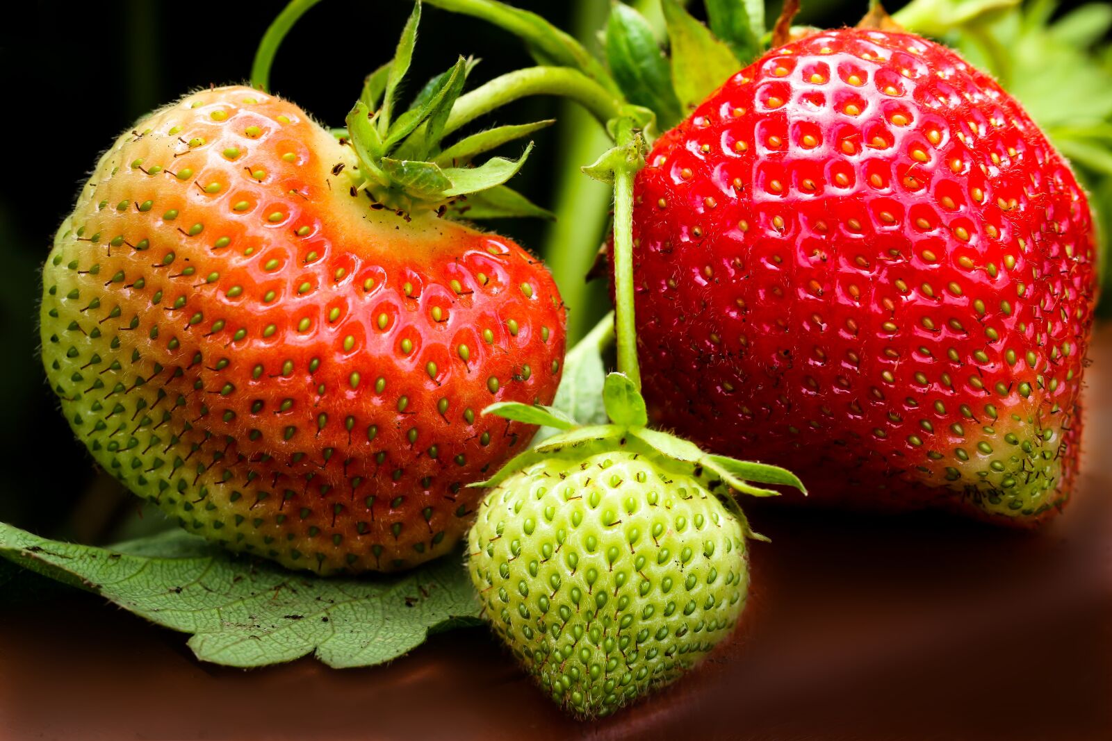 Canon EOS 70D sample photo. Strawberry, fruit, red photography