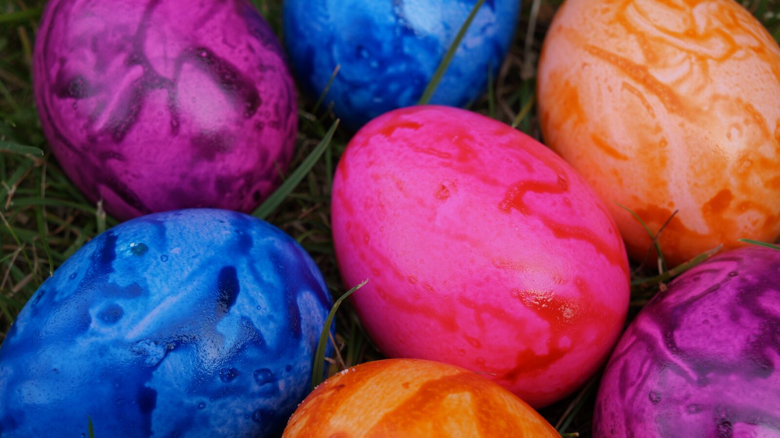 Sony Alpha a3000 sample photo. Egg, colorful, color photography