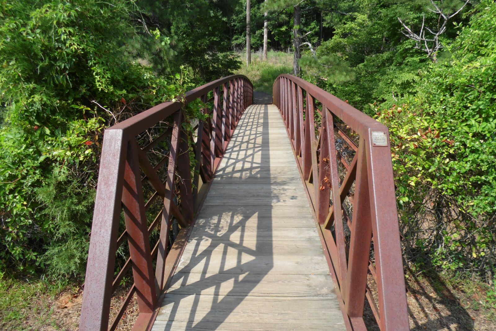 Samsung WB110/  WB111 sample photo. Bridge, walkway, park photography