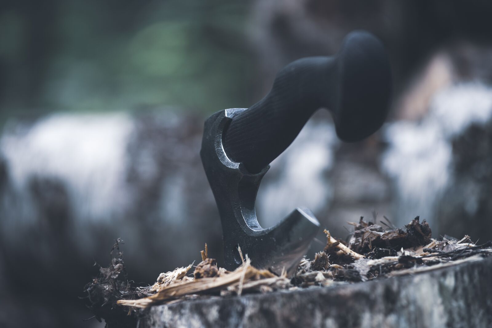 Nikon D800 sample photo. Axe, vikings, weapons photography