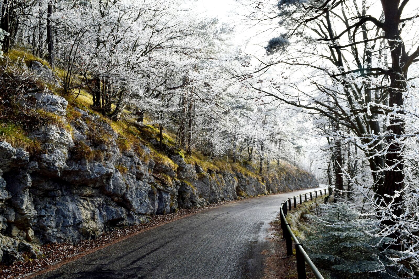 Nikon D5300 sample photo. Nature, switzerland, swiss photography
