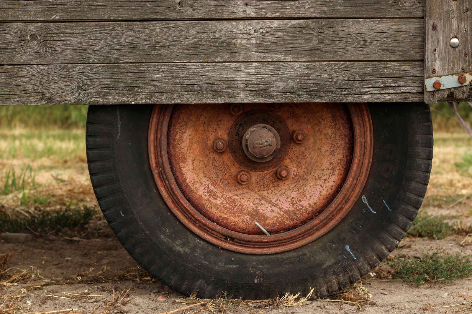 Canon EOS 700D (EOS Rebel T5i / EOS Kiss X7i) sample photo. Mature, wheel, tires photography