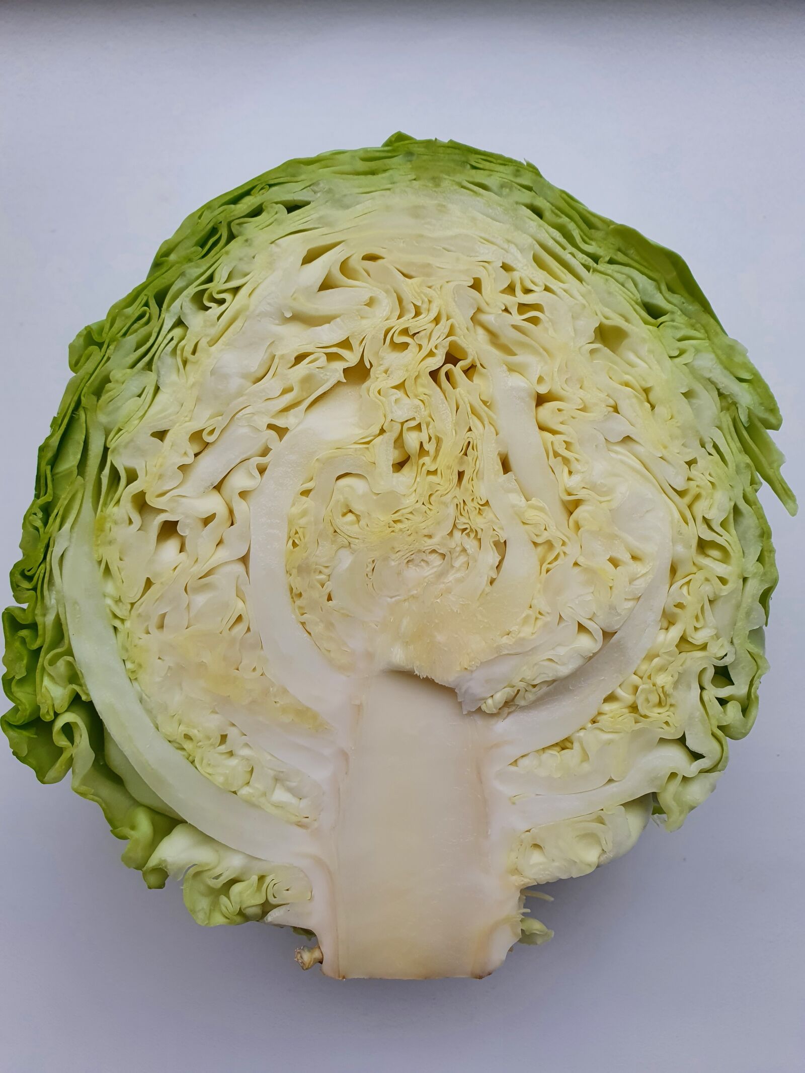Samsung Galaxy S10 sample photo. Cabbage, white, vegetables photography