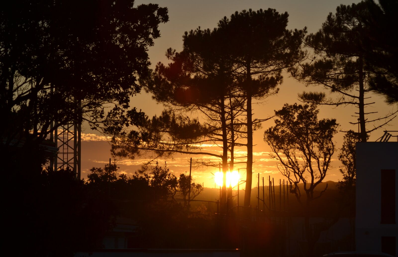 Nikon D3100 sample photo. Sunset, landes, nature photography