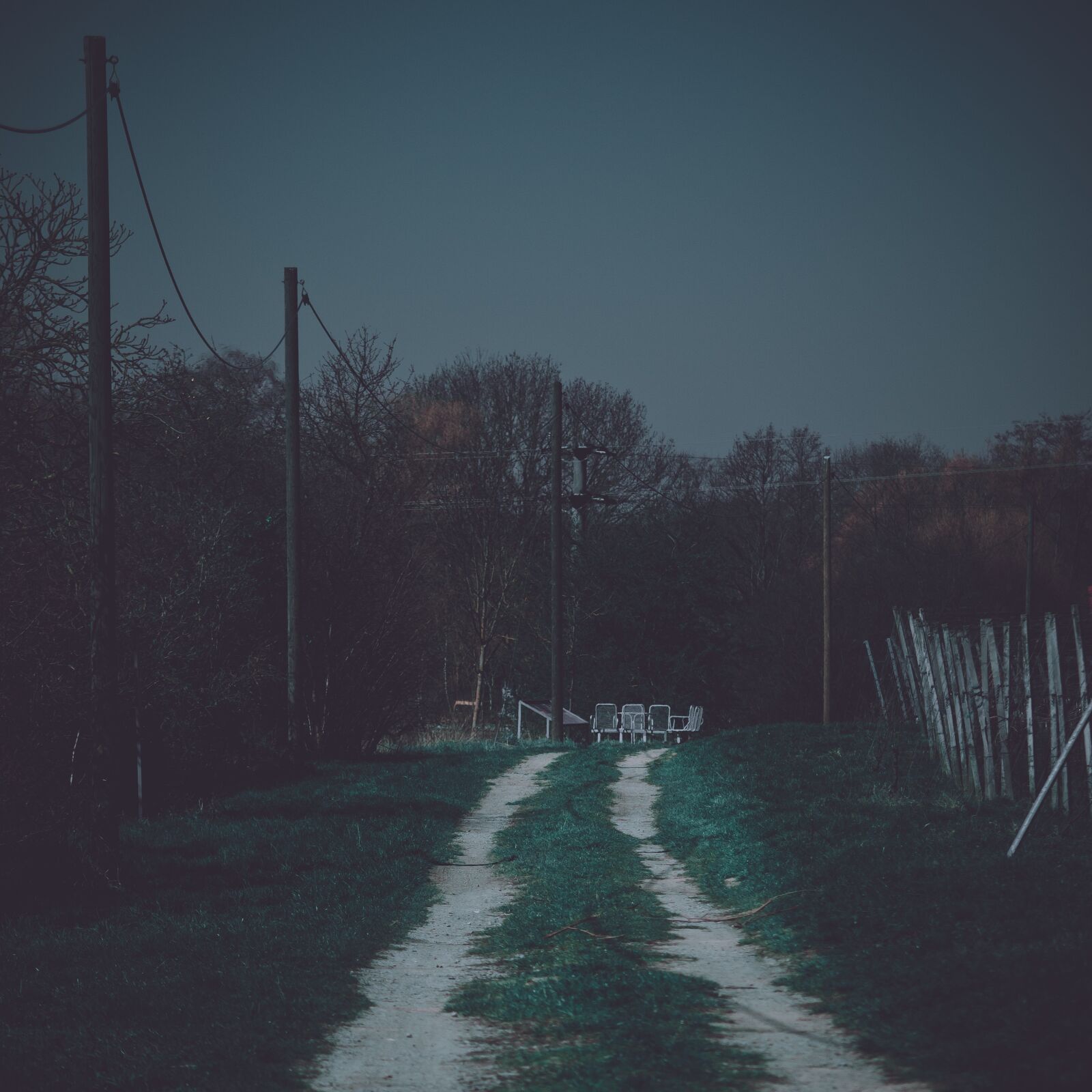 Nikon D5100 sample photo. Path, away, dark photography