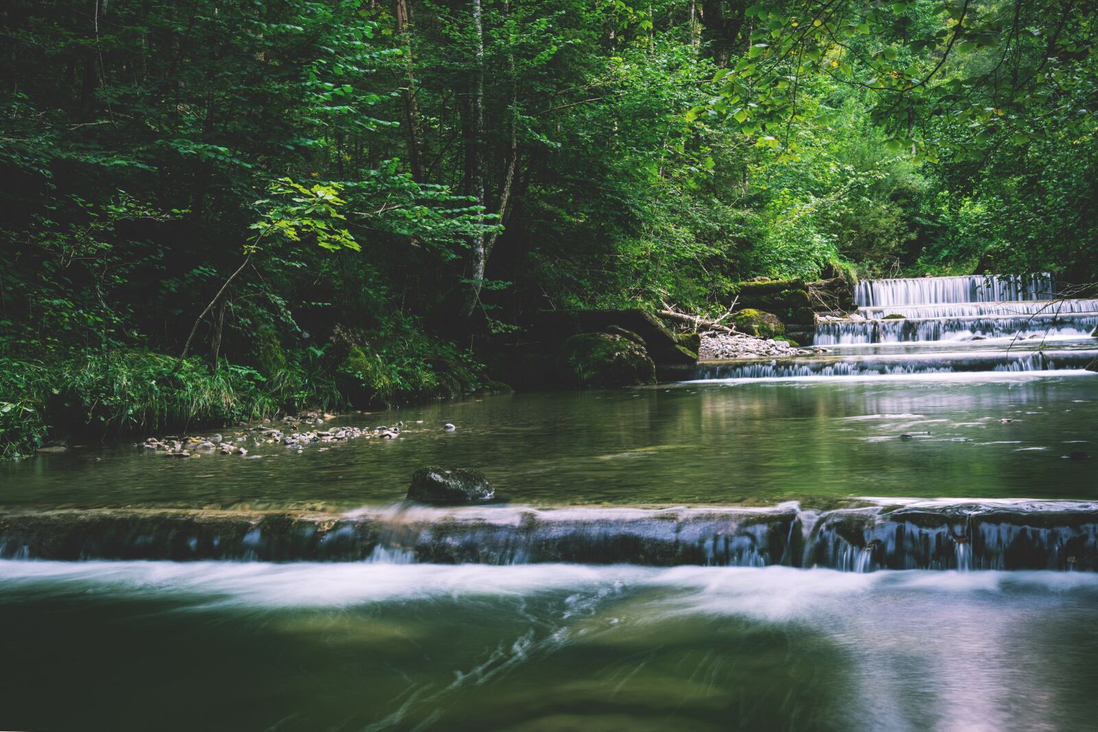 Nikon D5300 sample photo. Bach, river, water photography
