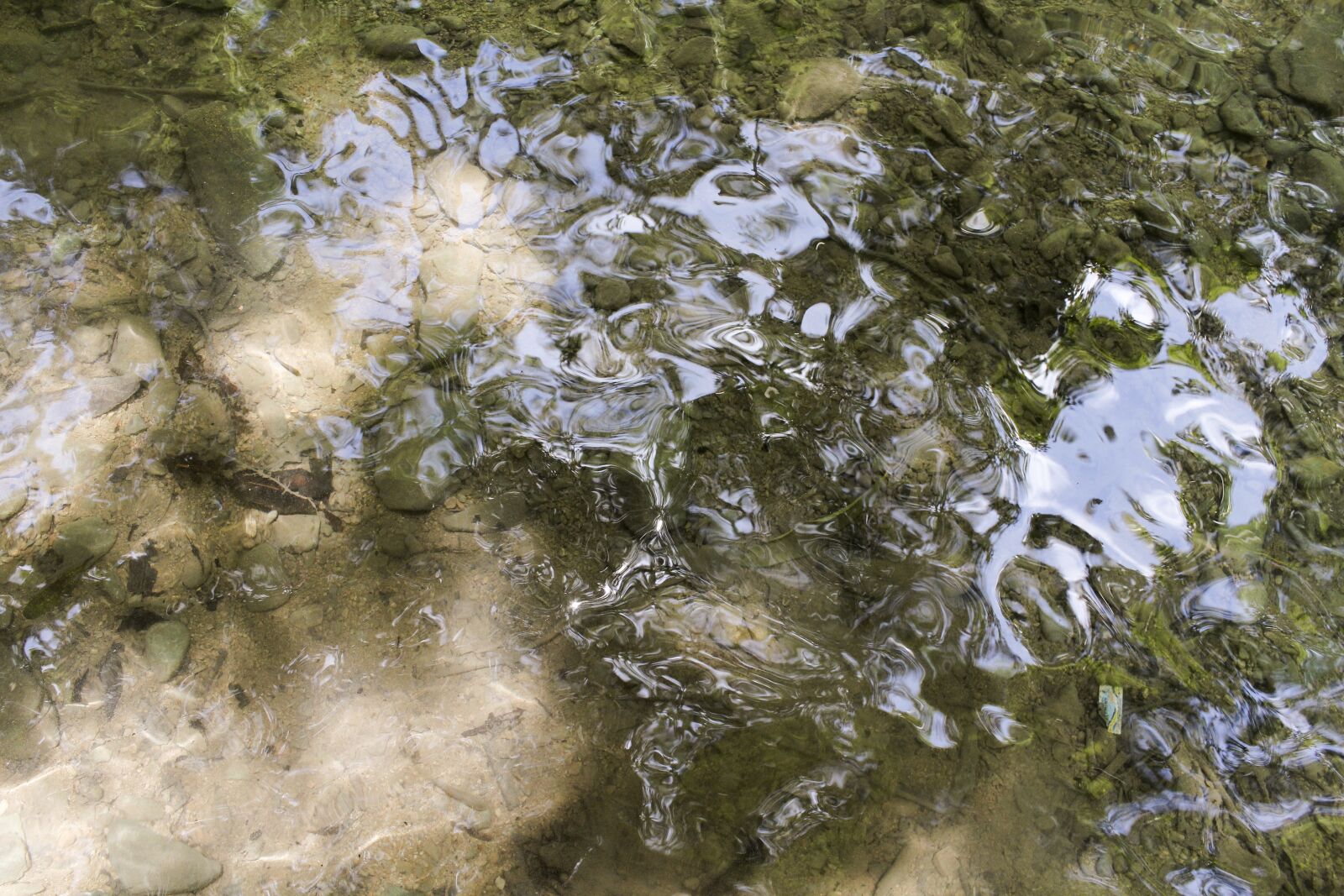 Canon EOS 600D (Rebel EOS T3i / EOS Kiss X5) sample photo. Body of water, pond photography