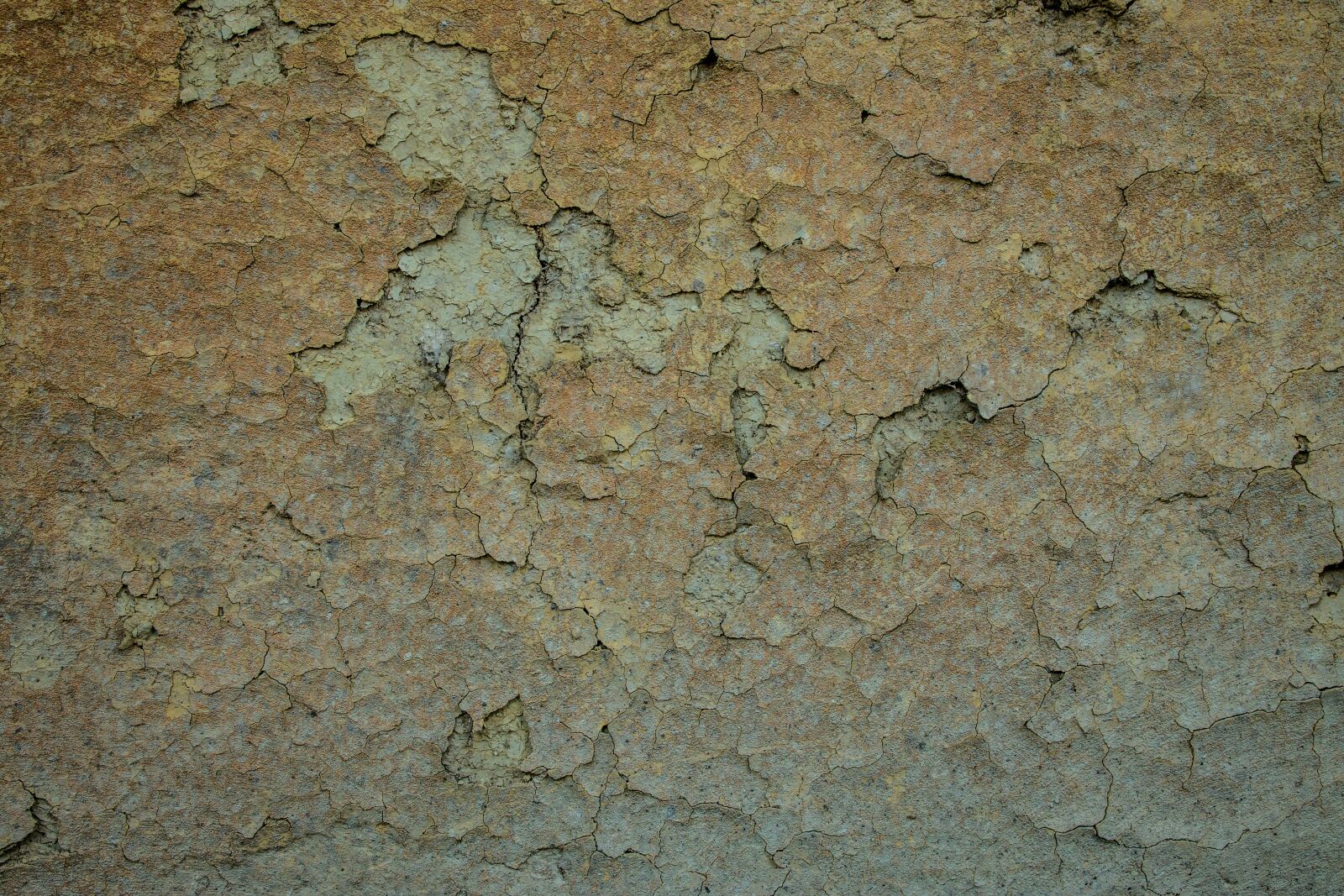 Canon RF 35mm F1.8 IS STM Macro sample photo. Soil texture, crack texture photography