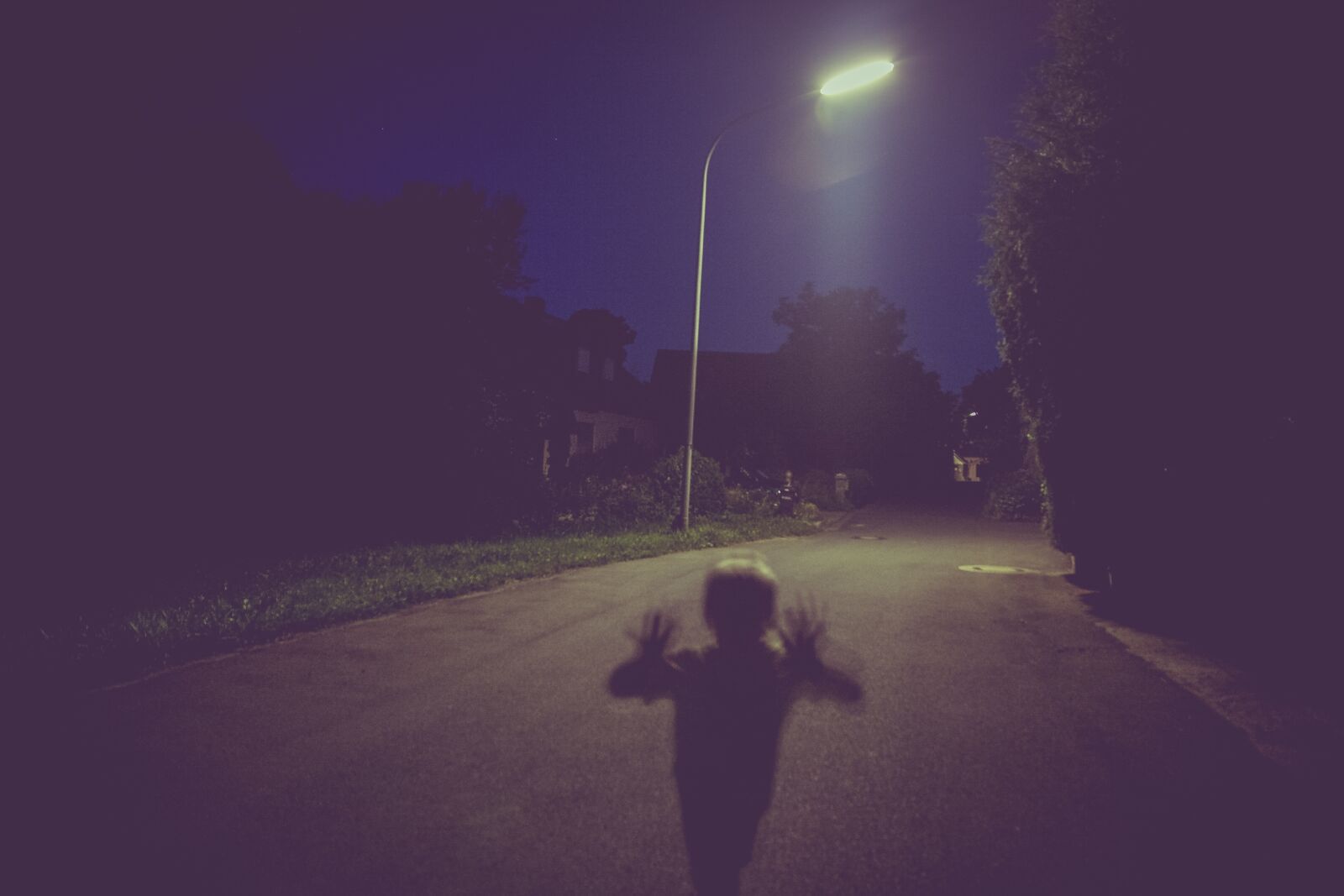 Canon EOS 5D + Canon EF 24-105mm F4L IS USM sample photo. Monster, spooky, horror photography