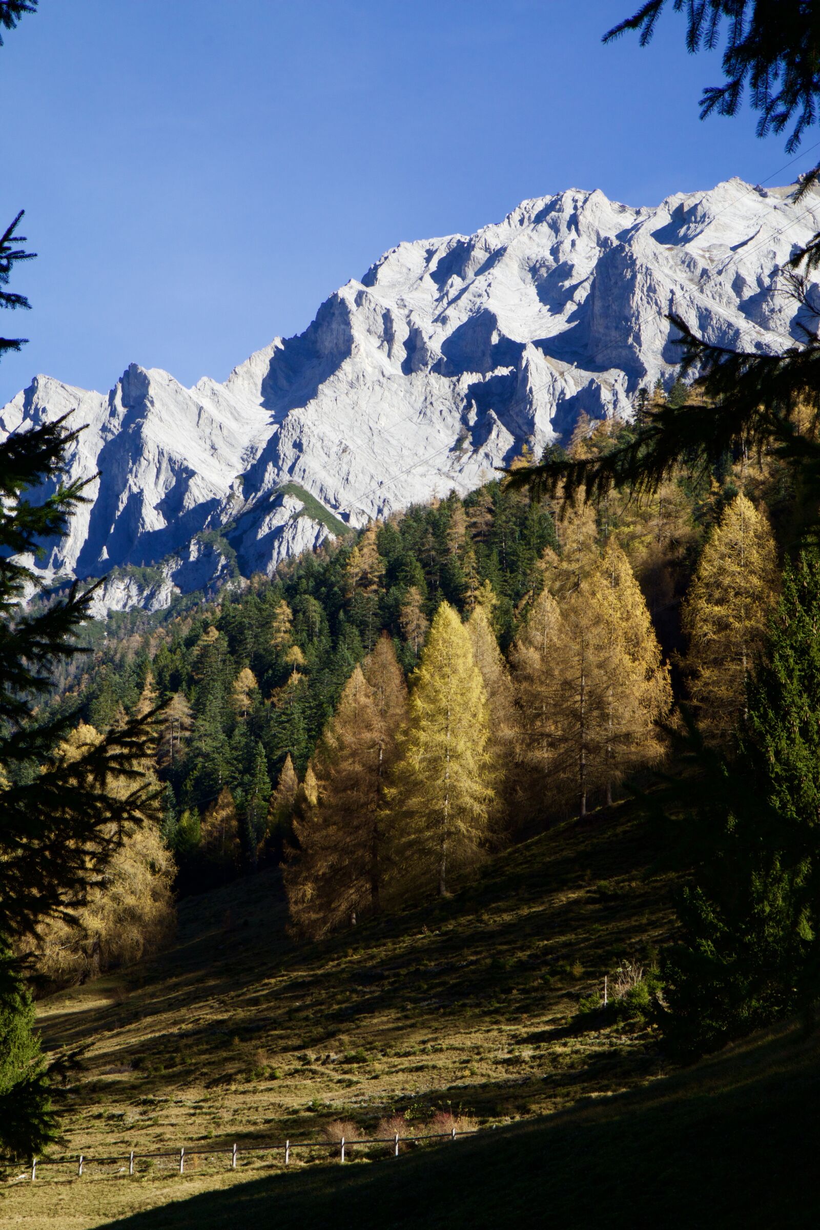 Canon EOS 70D sample photo. Mountains, alpine, fir tree photography
