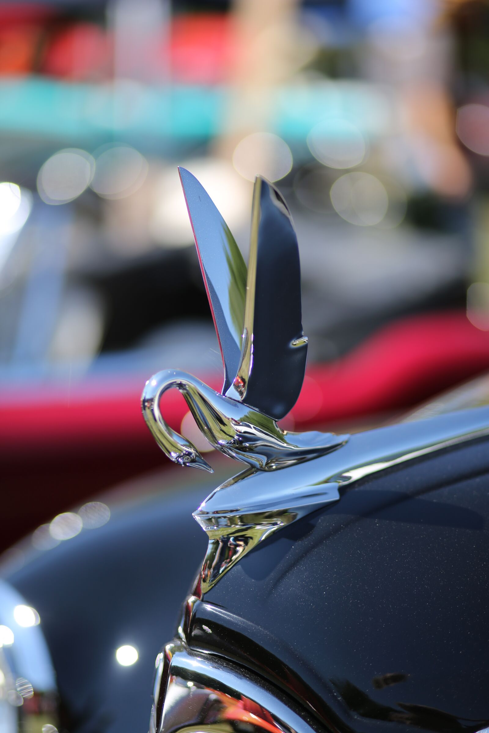 Canon EF 85mm F1.8 USM sample photo. Grille, decal, automobile photography