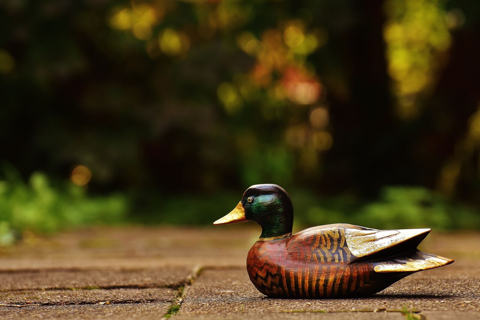 Nikon D7200 sample photo. Duck, deco, figure photography