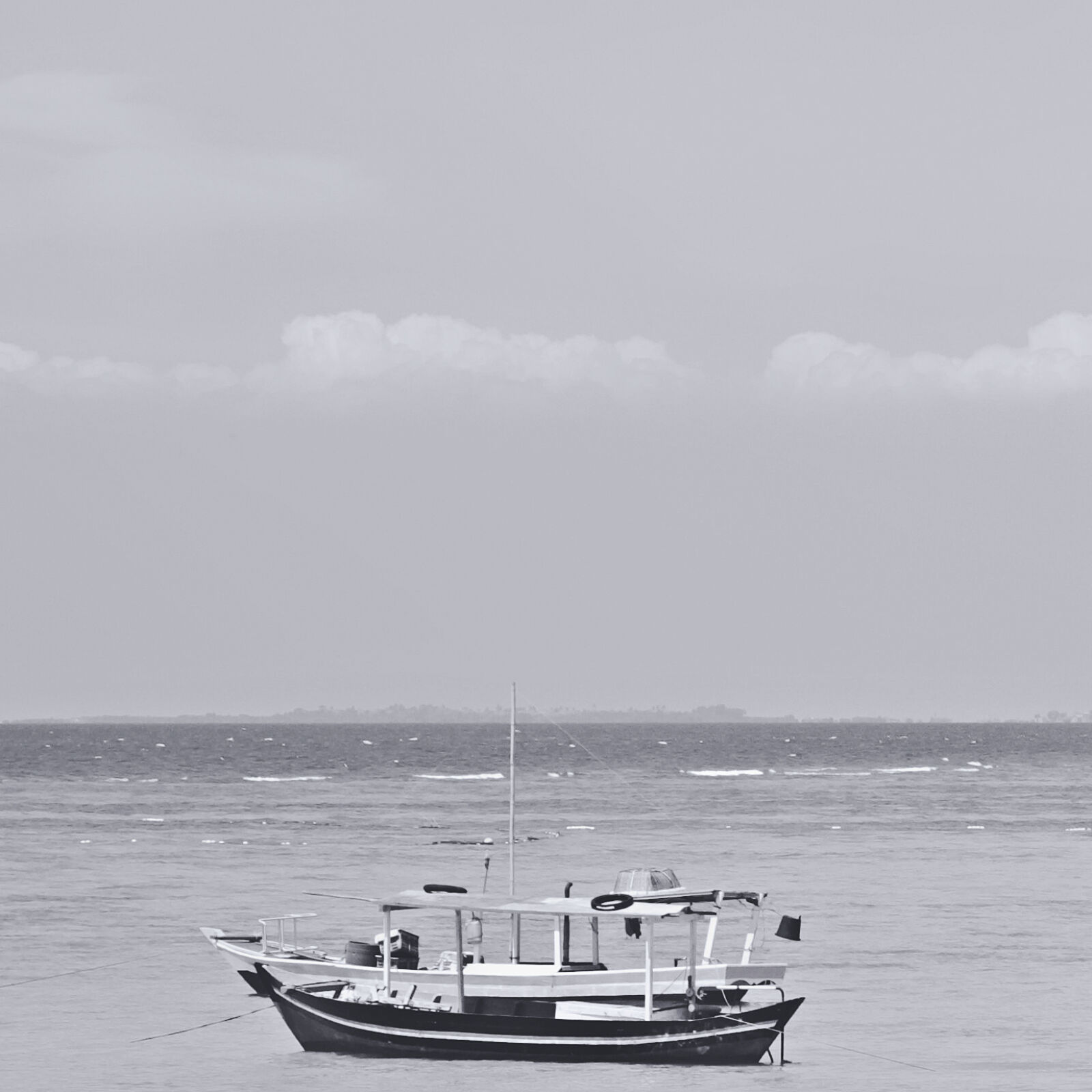 Canon EOS 600D (Rebel EOS T3i / EOS Kiss X5) + Canon EF 50mm F1.8 II sample photo. Black, white, black, and photography