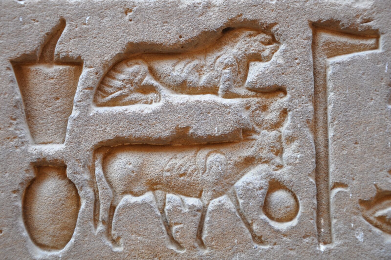 Nikon D90 sample photo. Egypt, temple, hieroglyphs photography