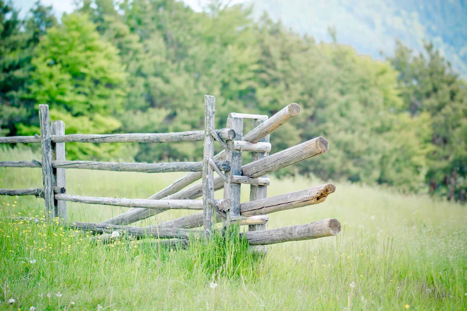 Nikon D7100 sample photo. Pasture, fence, pasture fence photography