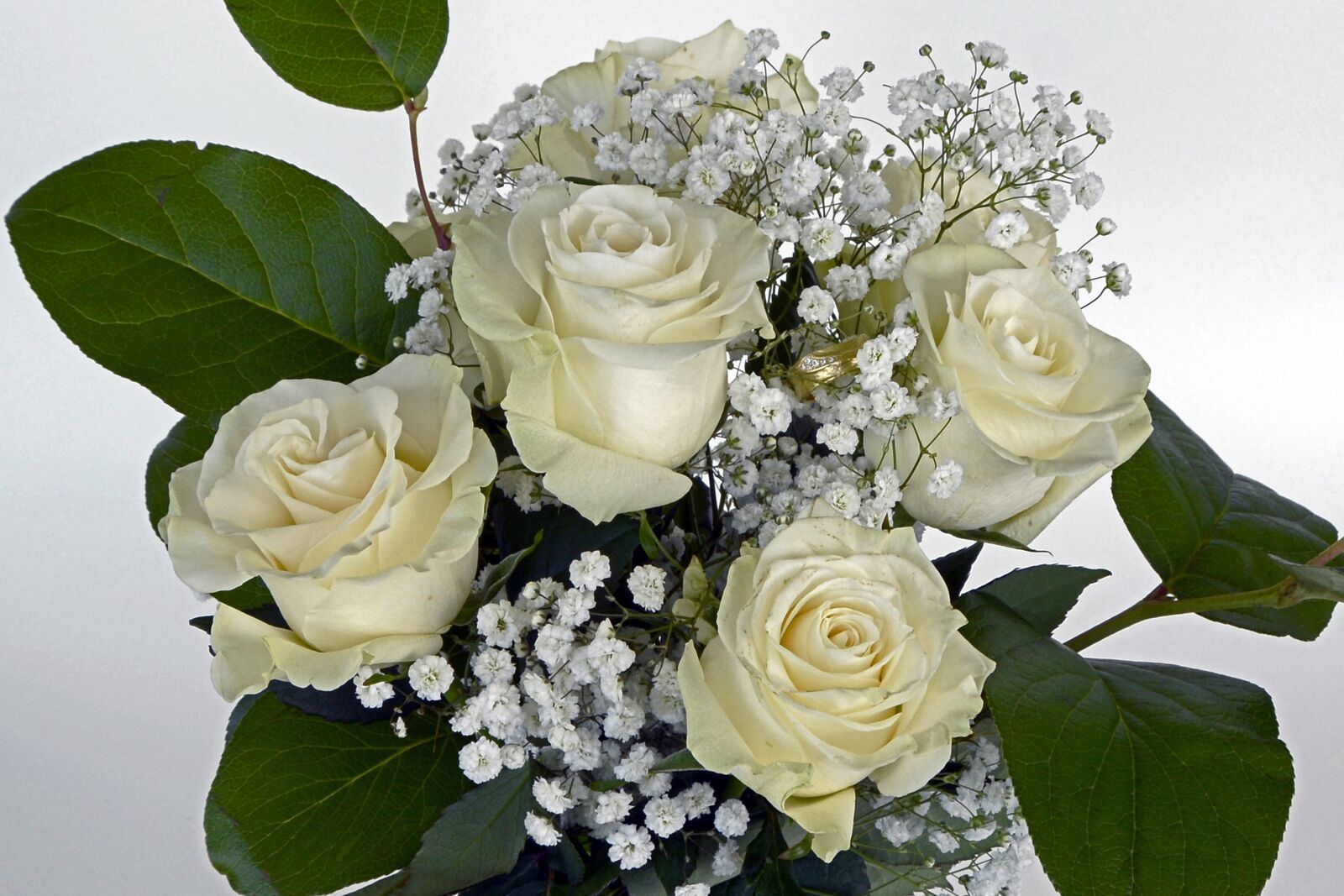 Nikon D7100 sample photo. Roses, rose flower, flowers photography