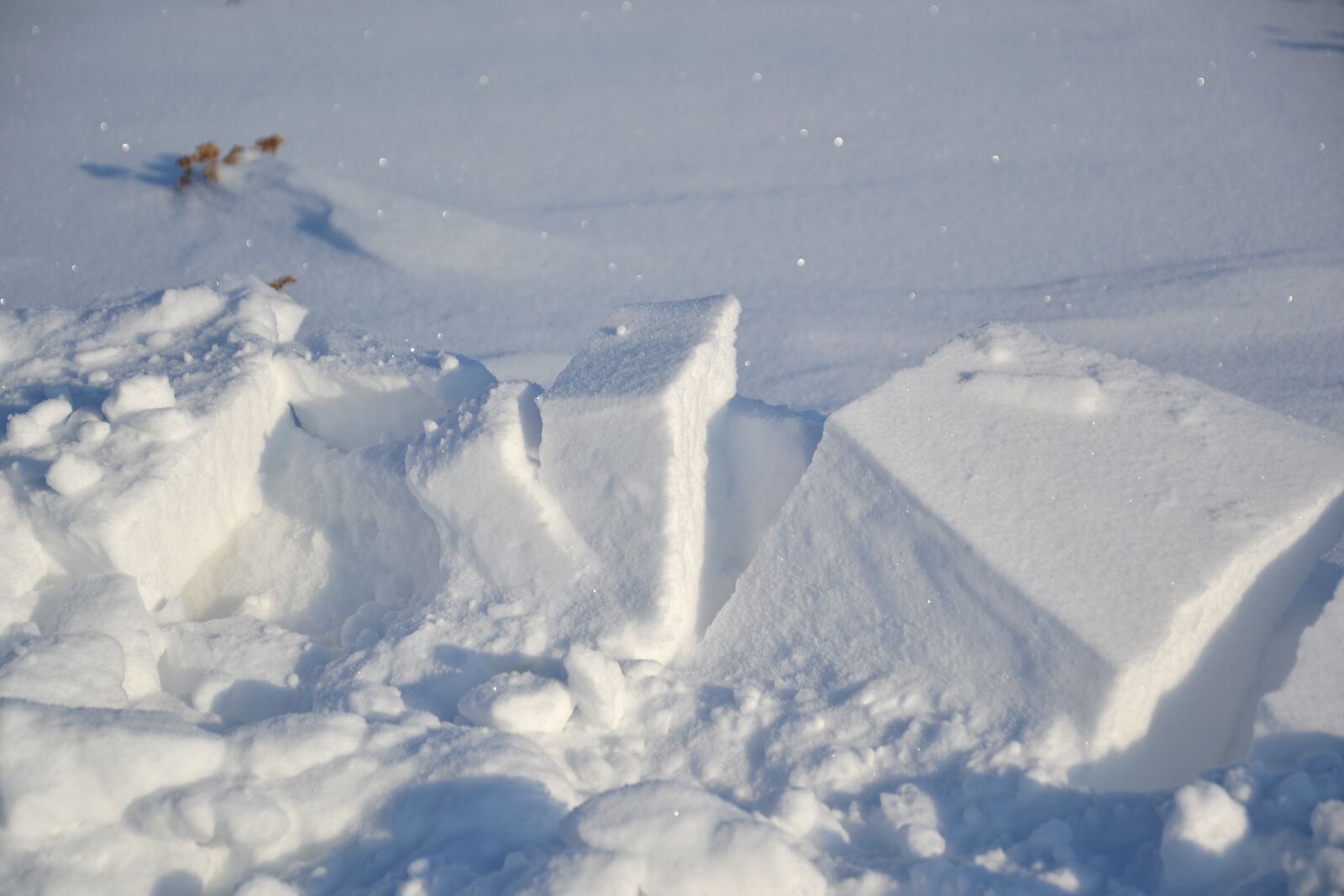 Nikon D3100 sample photo. Snow, winter, frost photography
