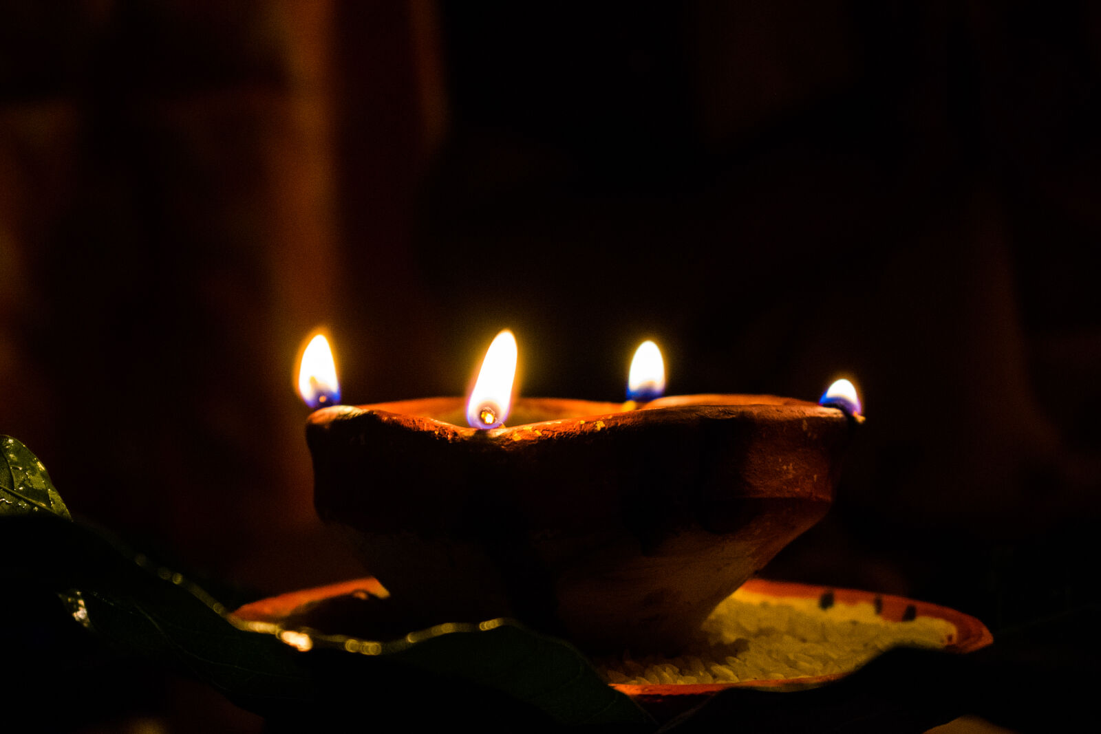 Nikon D3300 sample photo
