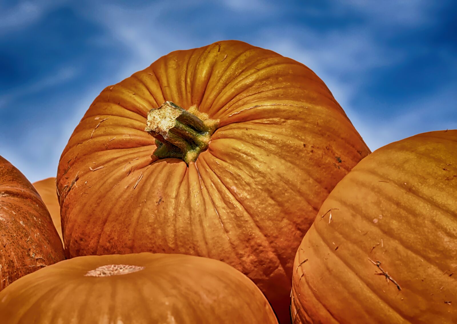 Nikon D7200 sample photo. Pumpkins, colorful, autumn photography