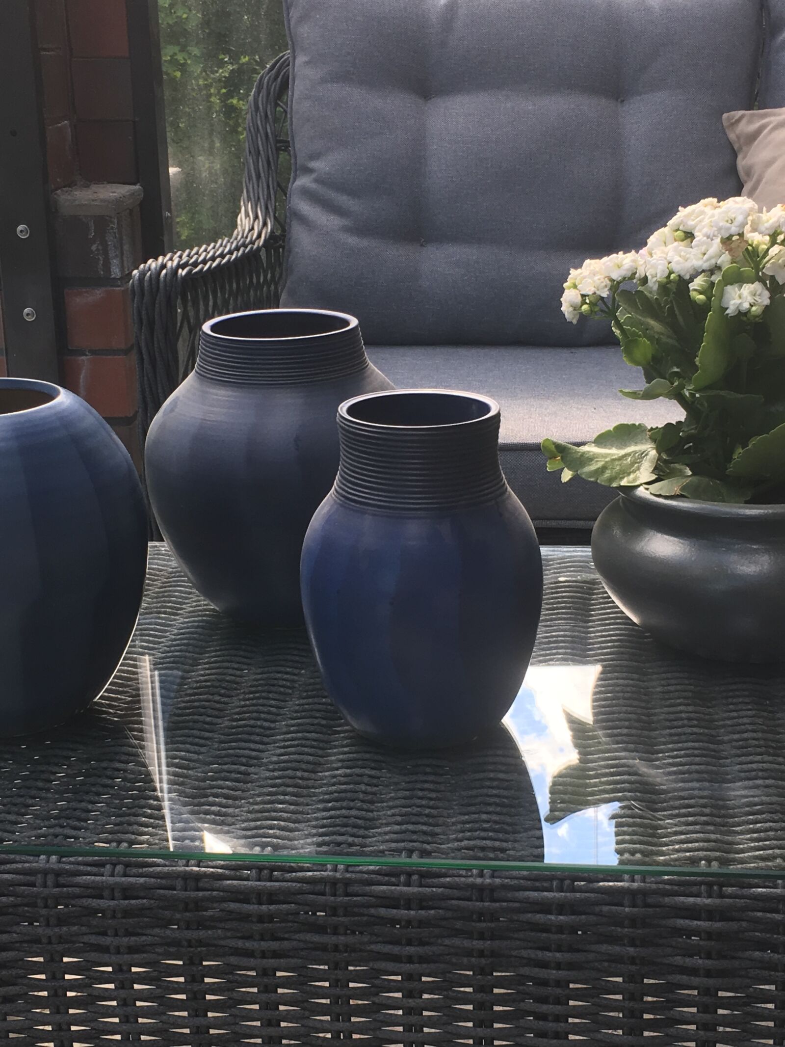 Apple iPhone 6s Plus sample photo. Blue, flower, garden photography