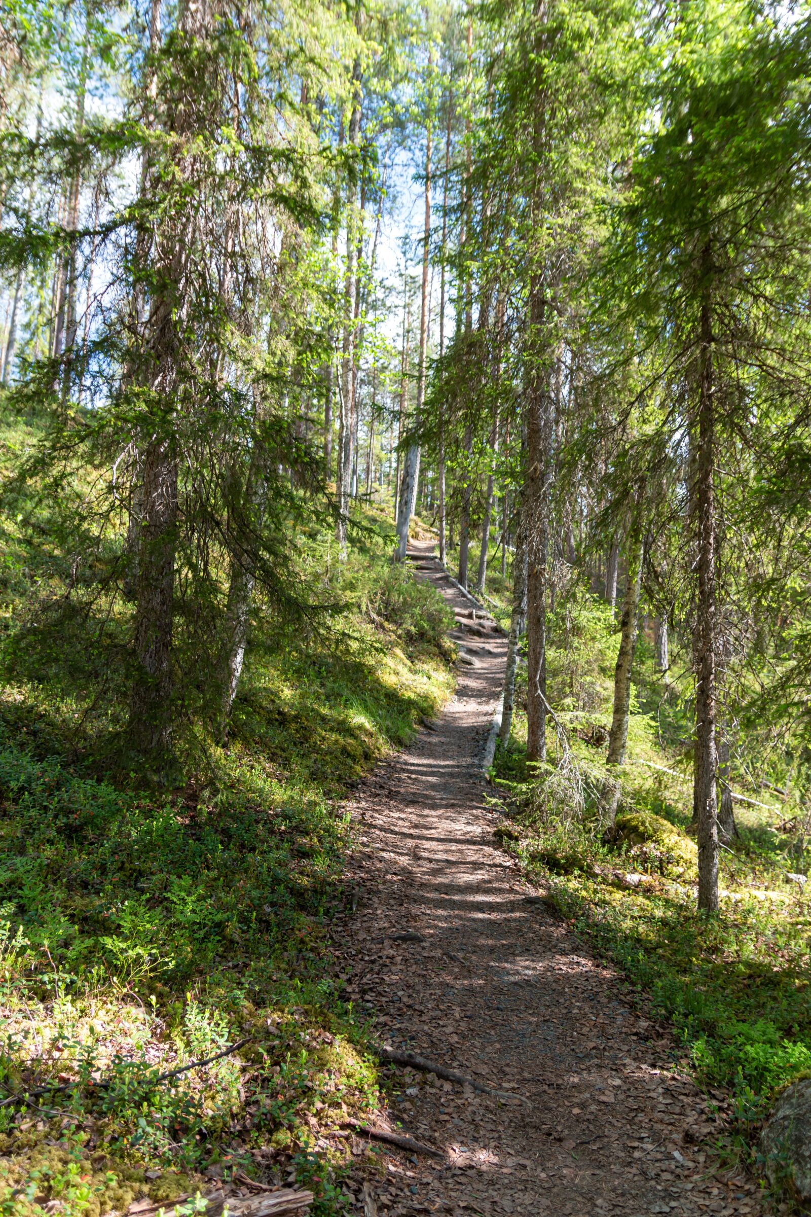 Canon EOS 70D sample photo. Path, hiking, summer photography