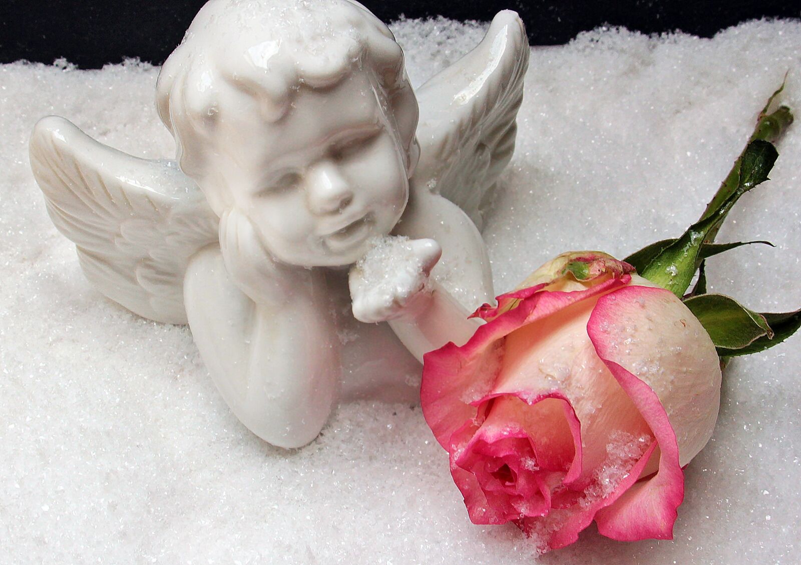 Canon EOS 550D (EOS Rebel T2i / EOS Kiss X4) sample photo. Angel, angel figure, rose photography