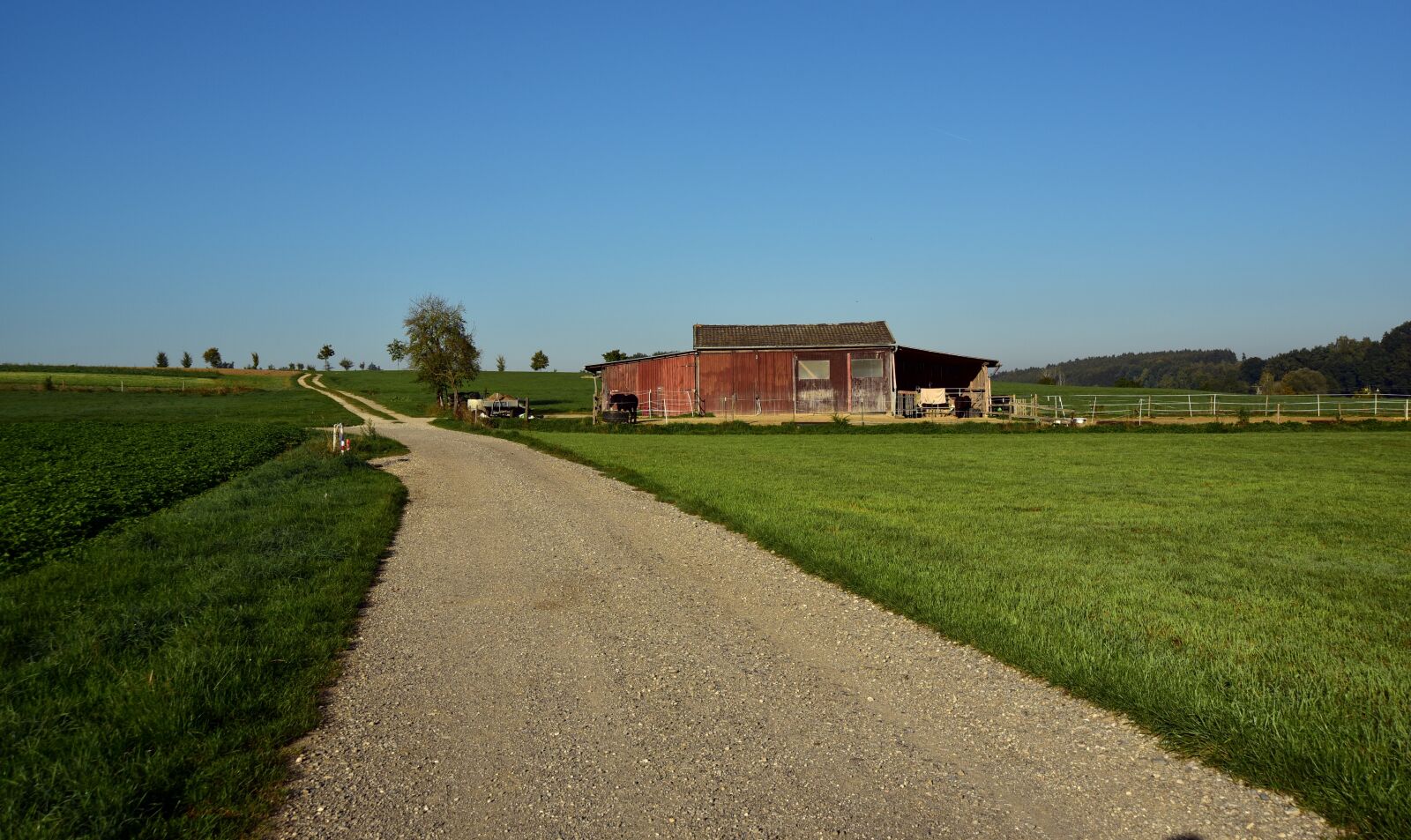 Nikon D750 sample photo. Landscape, rural, barn photography