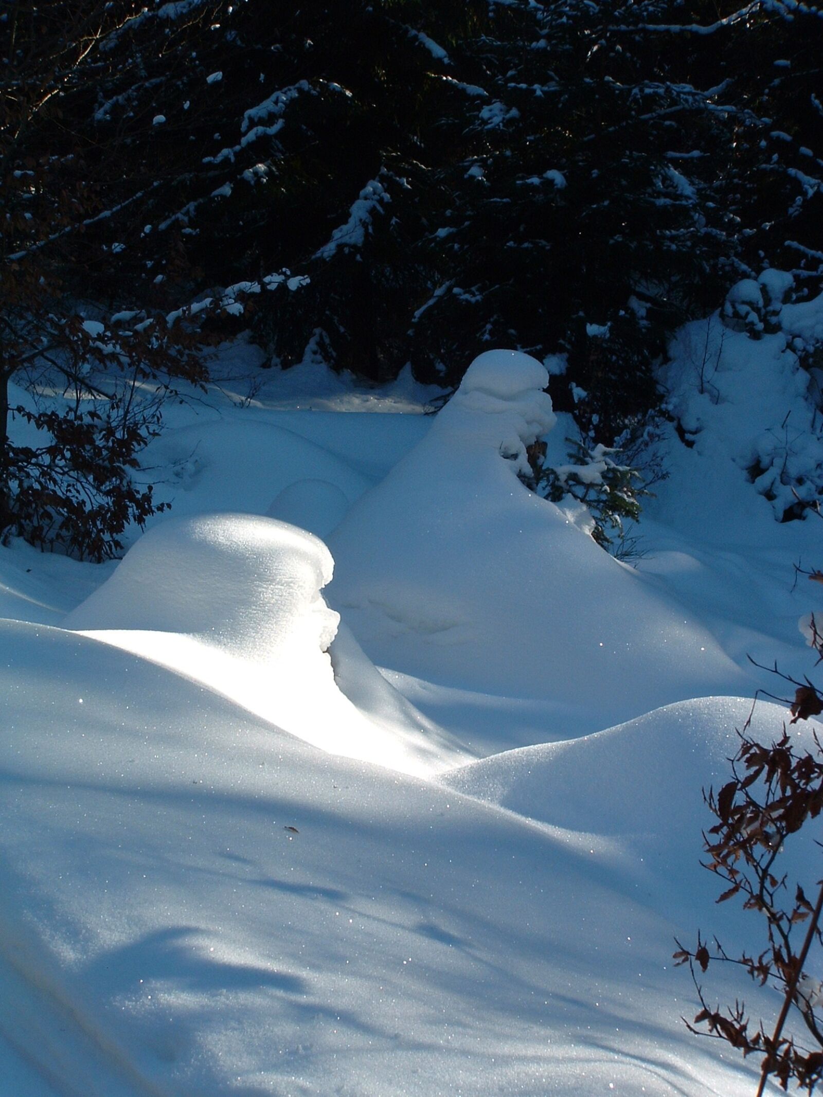 Fujifilm FinePix S304 sample photo. Snow, light, sun photography