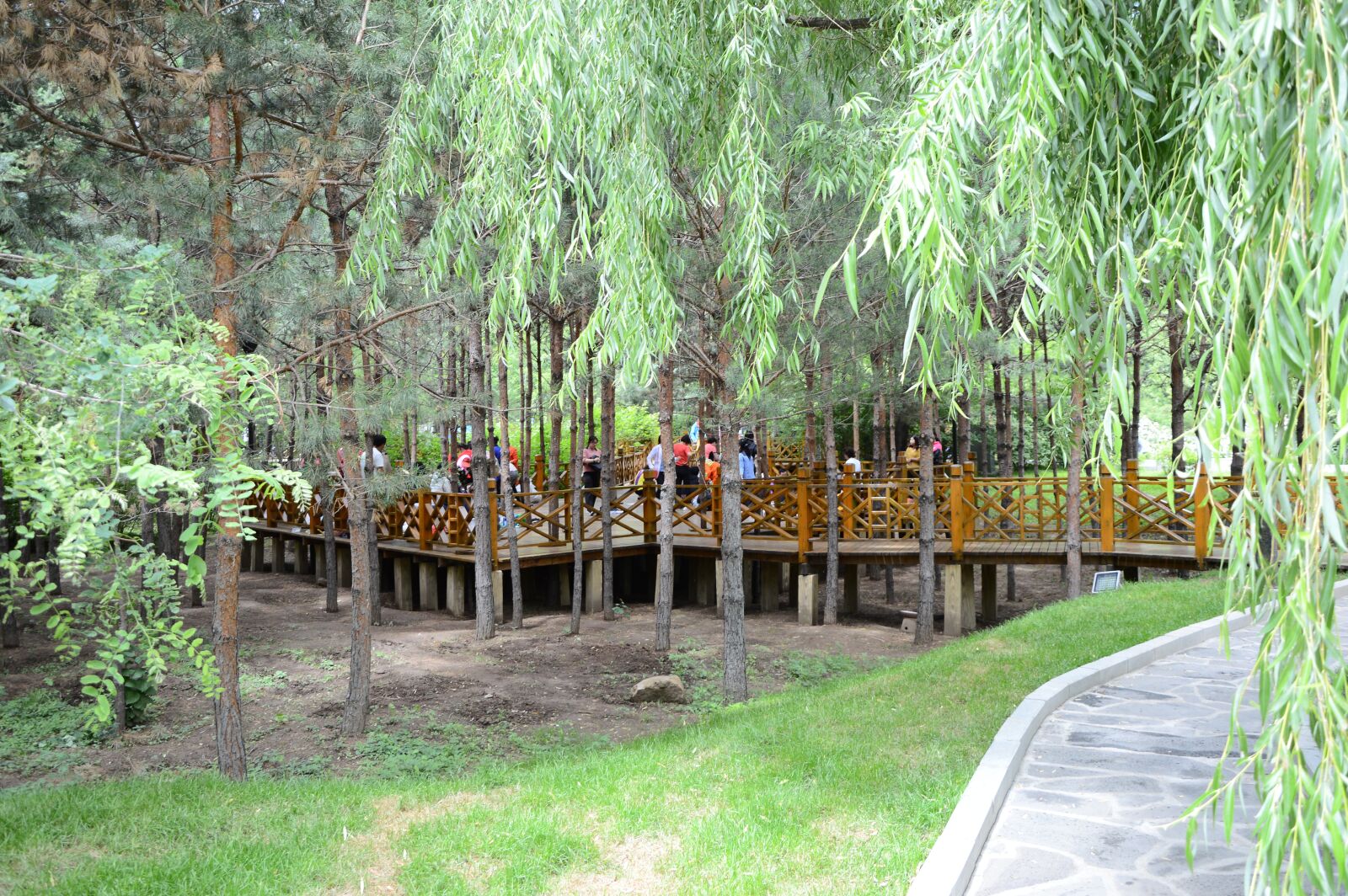 Nikon D3200 sample photo. Park, hu, tree photography