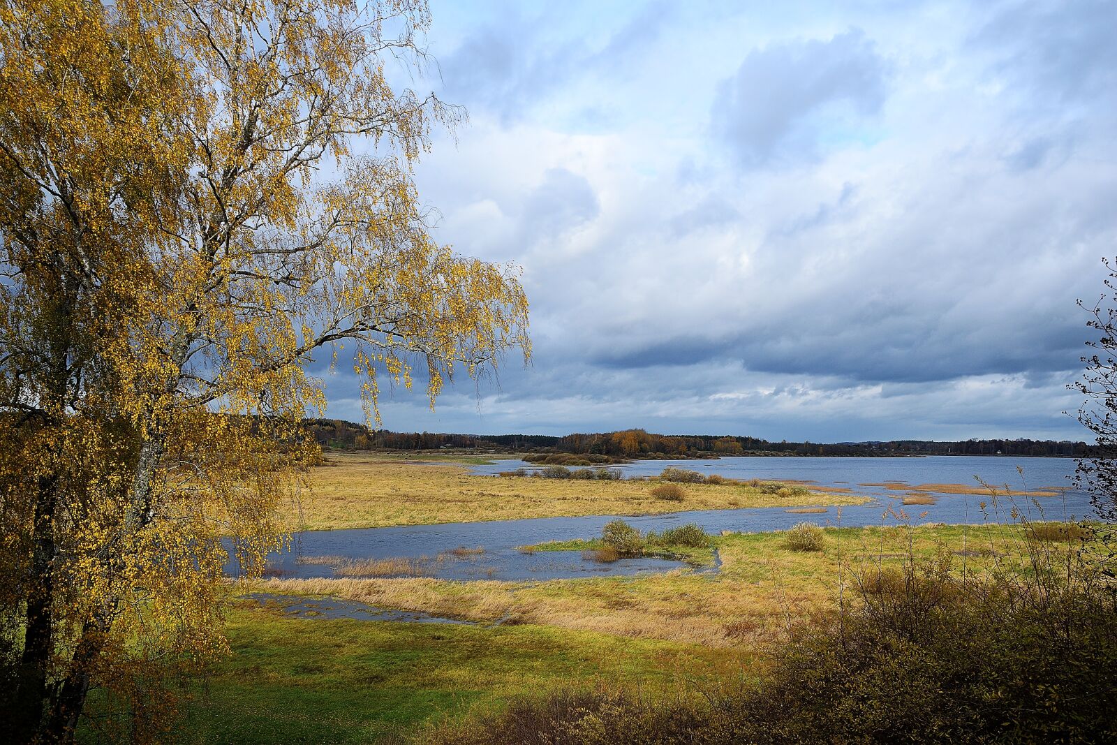 Nikon D3300 sample photo. Autumn, water, landscape photography