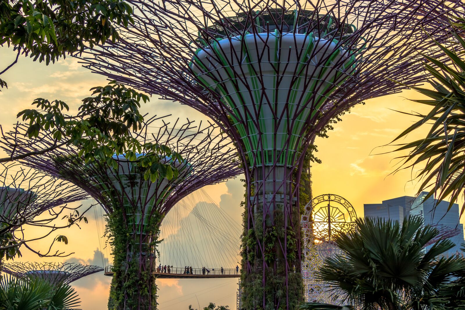 Canon EF-S 18-135mm F3.5-5.6 IS USM sample photo. Singapore, city, modern photography