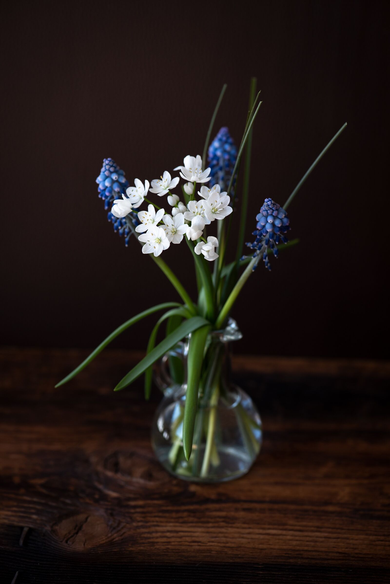 Nikon D750 sample photo. Flowers, spring flowers, white photography