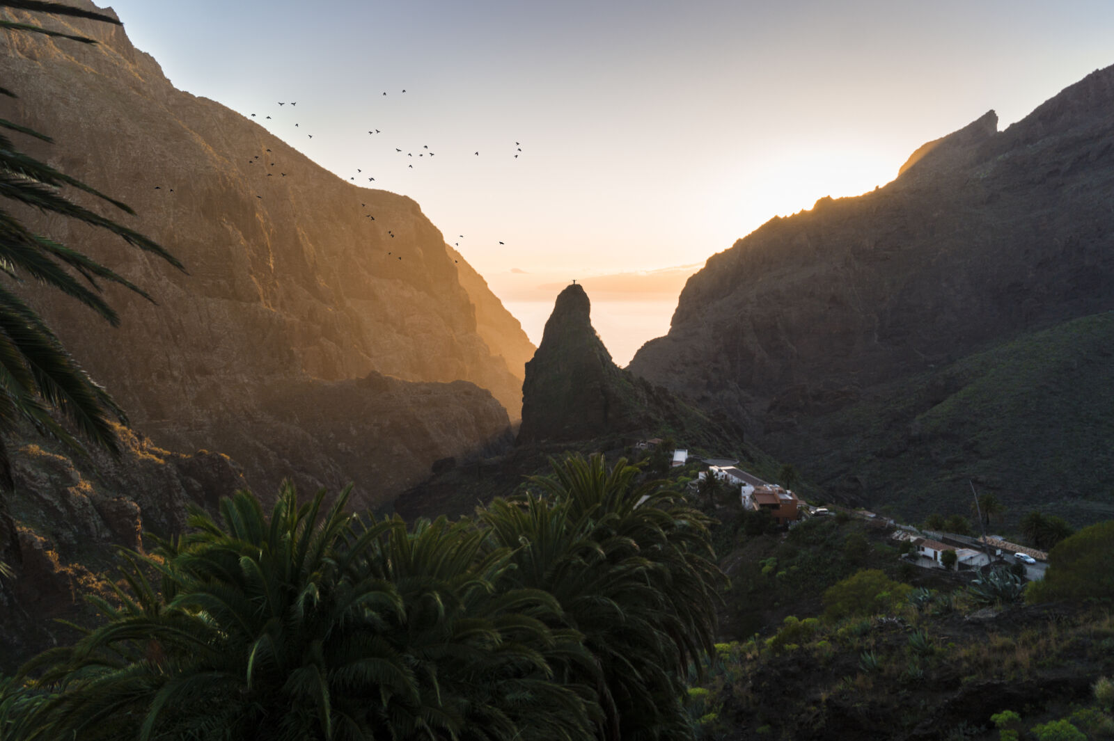 Sony DT 18-55mm F3.5-5.6 SAM II sample photo. Mountains, nature, sunset, palms photography