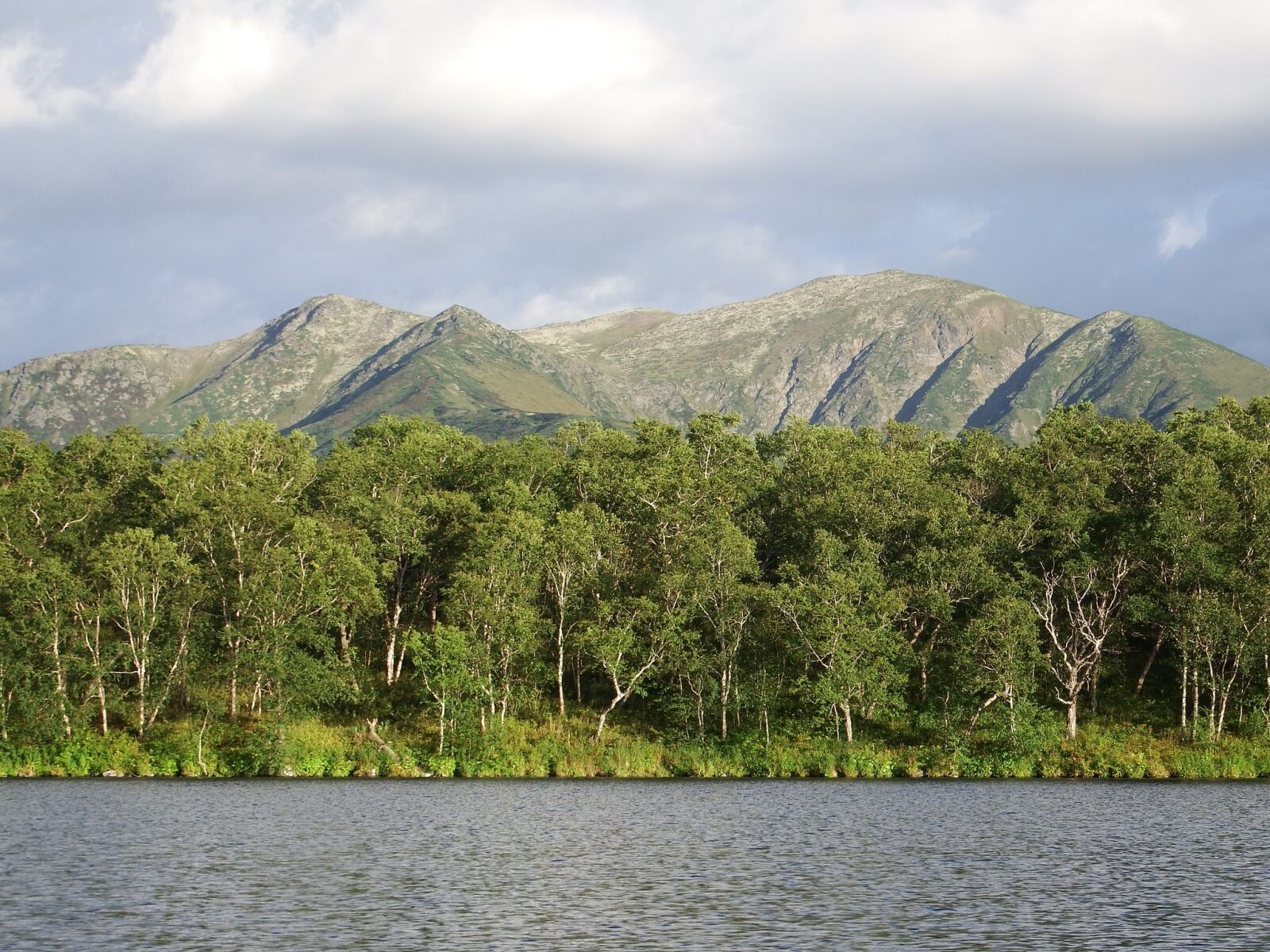 Fujifilm FinePix S1 sample photo. Lake, mountains, forest photography