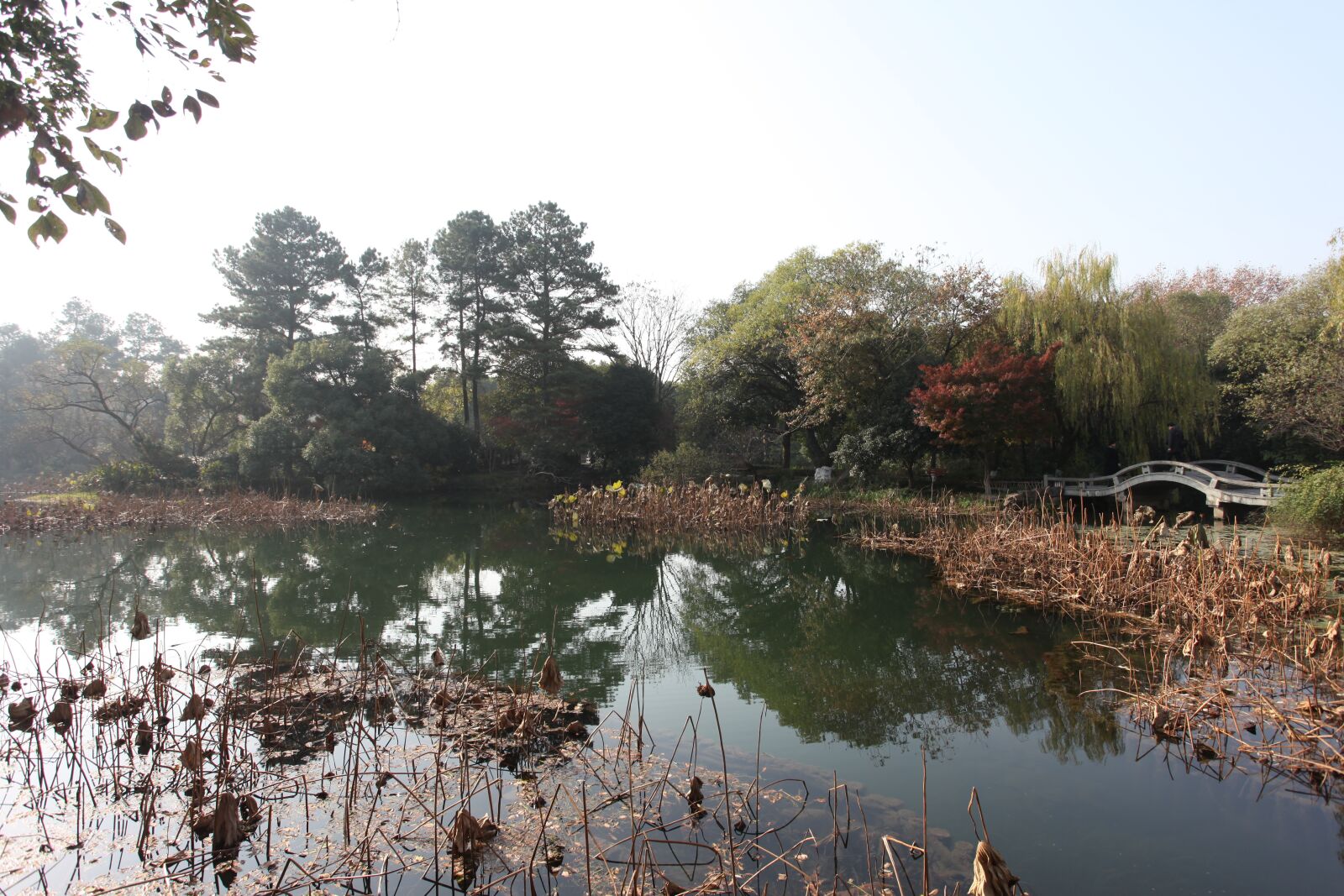 Canon EOS 5D Mark II sample photo. China, jiangnan water town photography