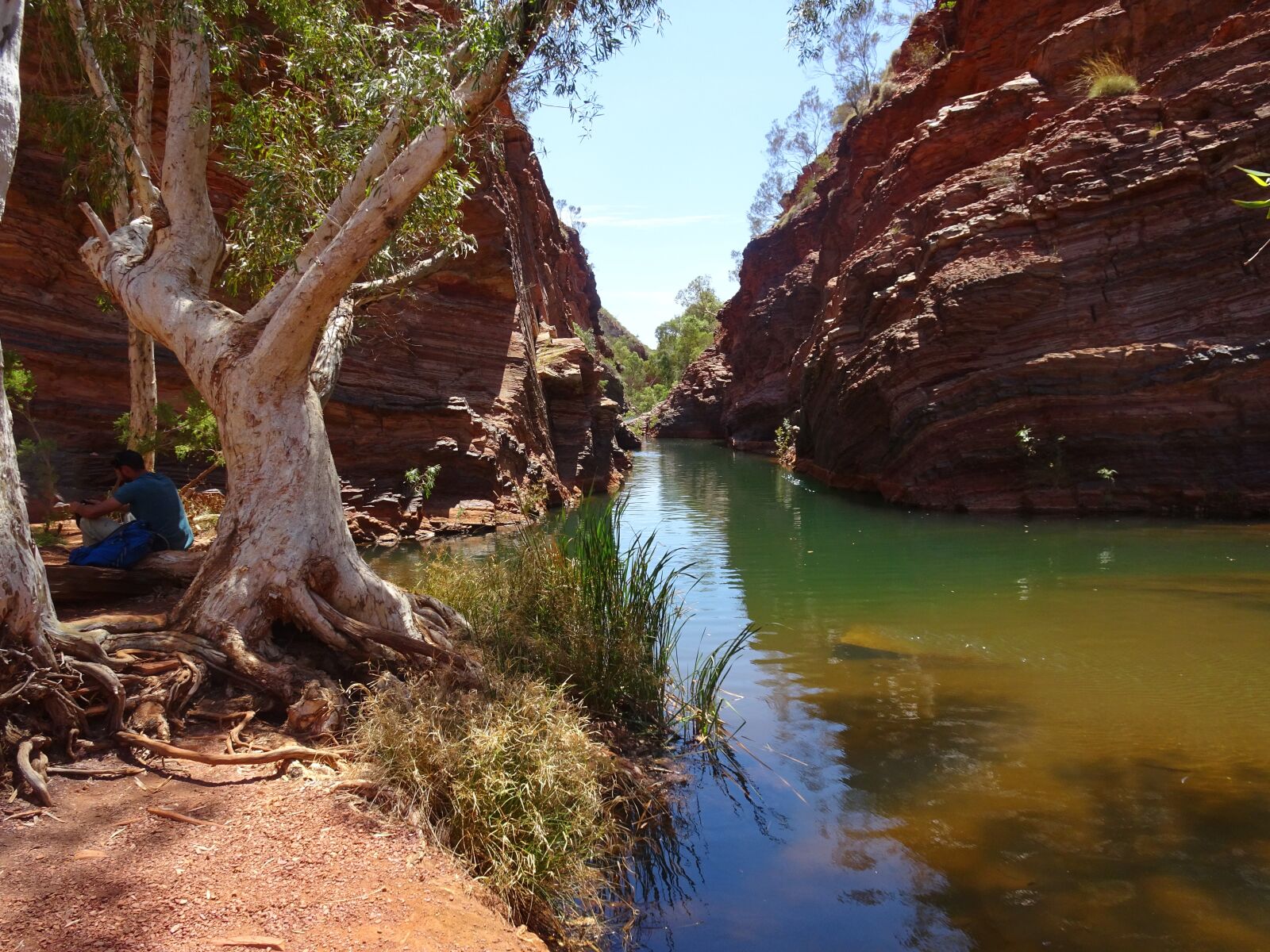Sony Cyber-shot DSC-HX90V sample photo. Karijini national park, australia photography