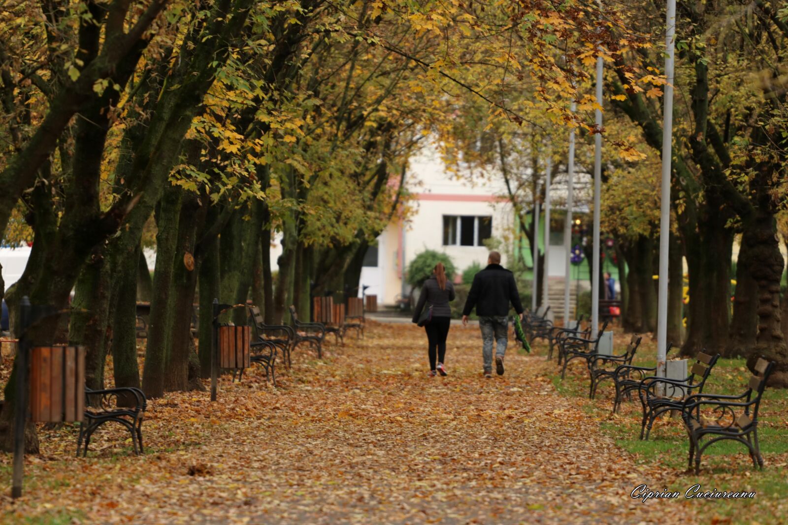 Canon EF 70-200mm F4L USM sample photo. Autumn, resita, romania photography