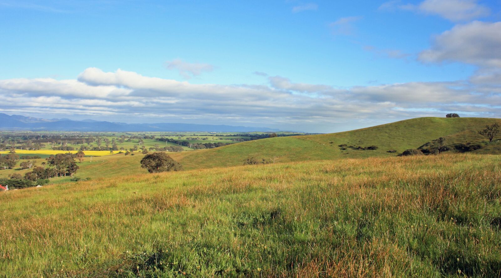 Canon EOS 1000D (EOS Digital Rebel XS / EOS Kiss F) sample photo. Landscape, victoria, grampians photography