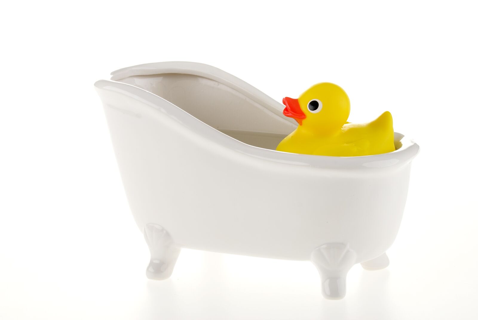 Nikon D80 sample photo. Duck, bath, water photography