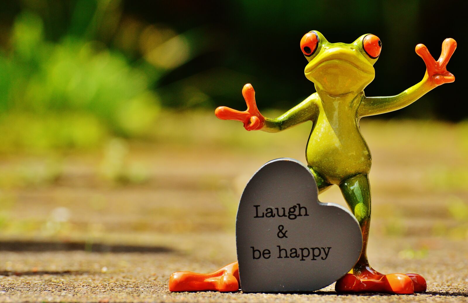Nikon D3200 sample photo. Frog, funny, laugh photography