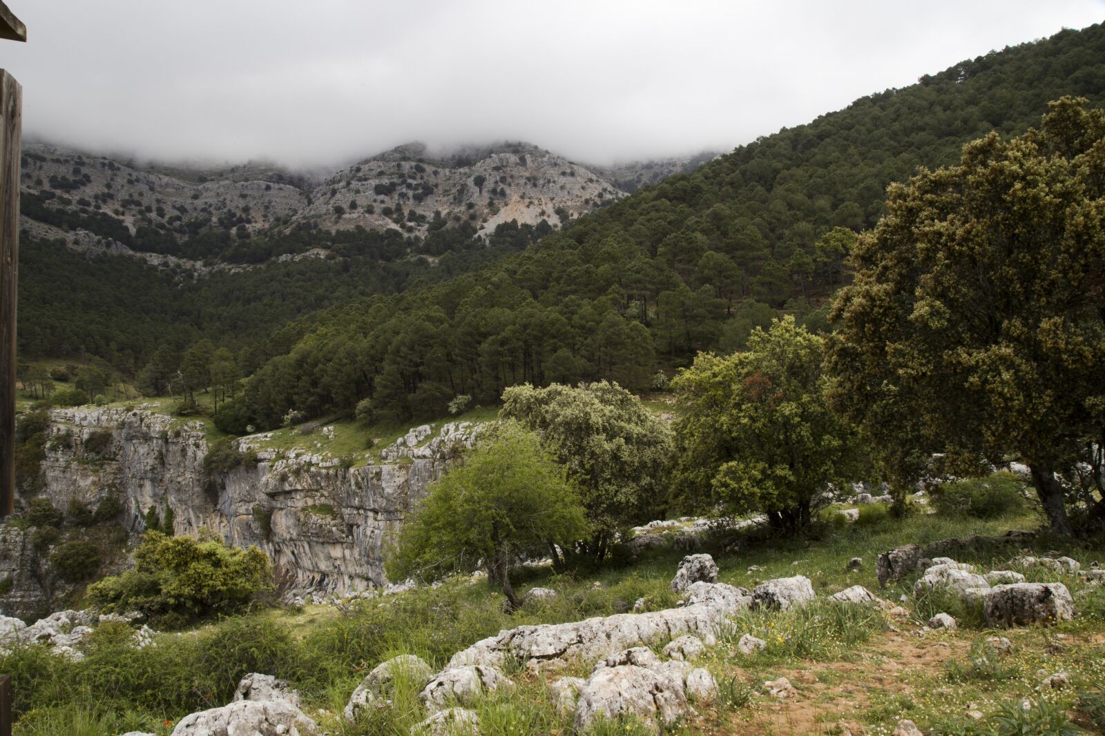 Canon EOS 6D + Canon EF 24-105mm F4L IS USM sample photo. Nature, landscape, clouds photography