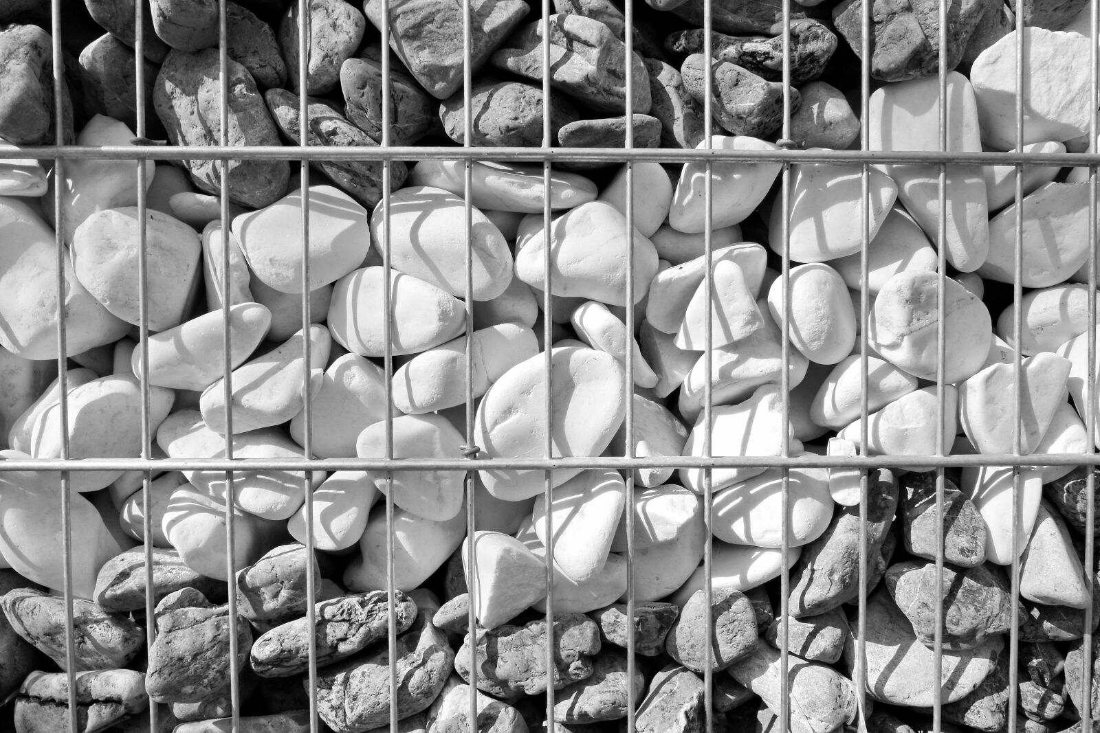 Nikon D5500 sample photo. Black, black and white photography