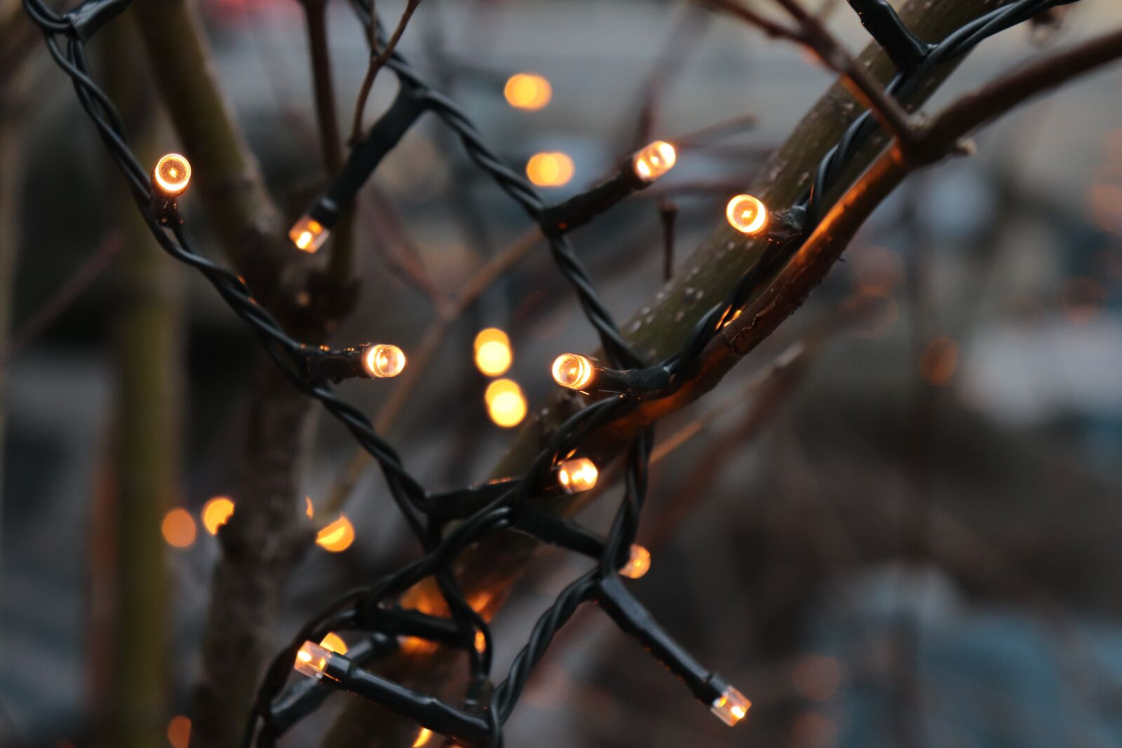 Canon EOS 200D (EOS Rebel SL2 / EOS Kiss X9) sample photo. Led lights, christmas decoration photography