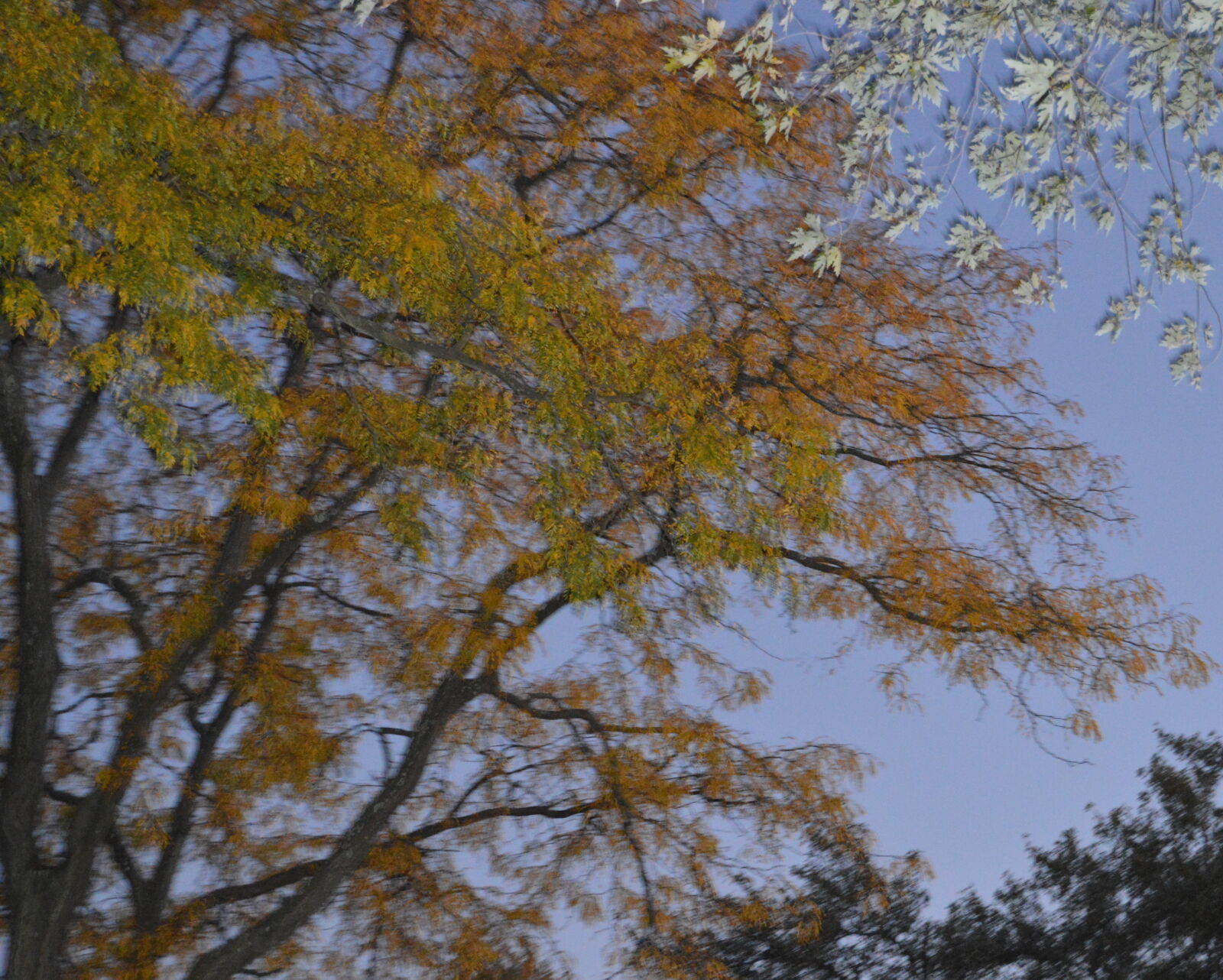 Nikon D3200 sample photo
