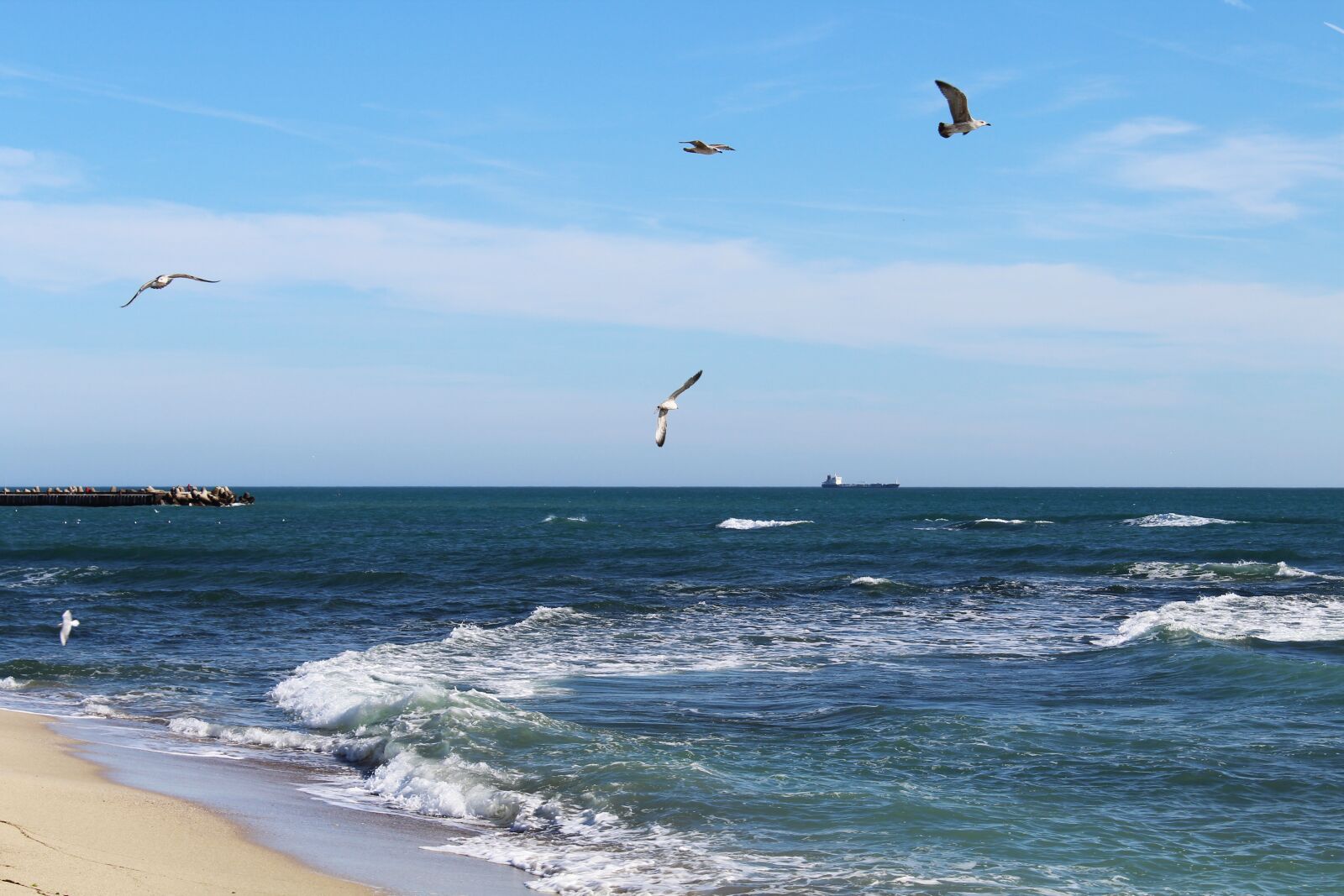 Canon EOS 1300D (EOS Rebel T6 / EOS Kiss X80) sample photo. Sea, november, nature photography