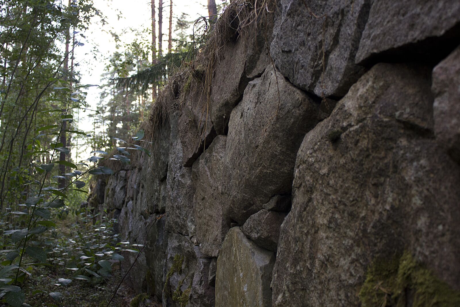 Canon EF-S 18-55mm F3.5-5.6 IS sample photo. Stone wall, forest, nature photography