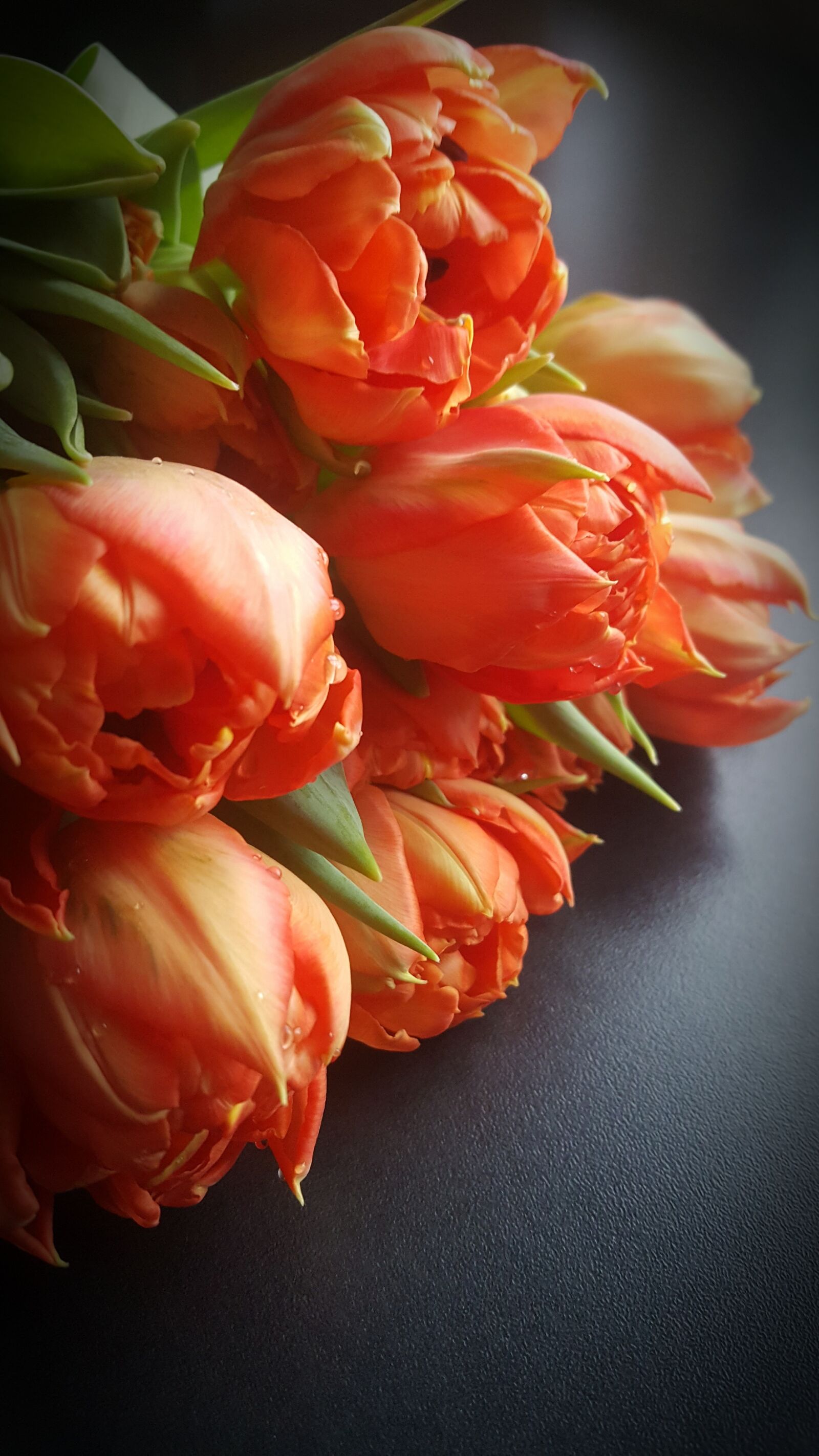 Samsung Galaxy S6 sample photo. Flower, no person, nature photography