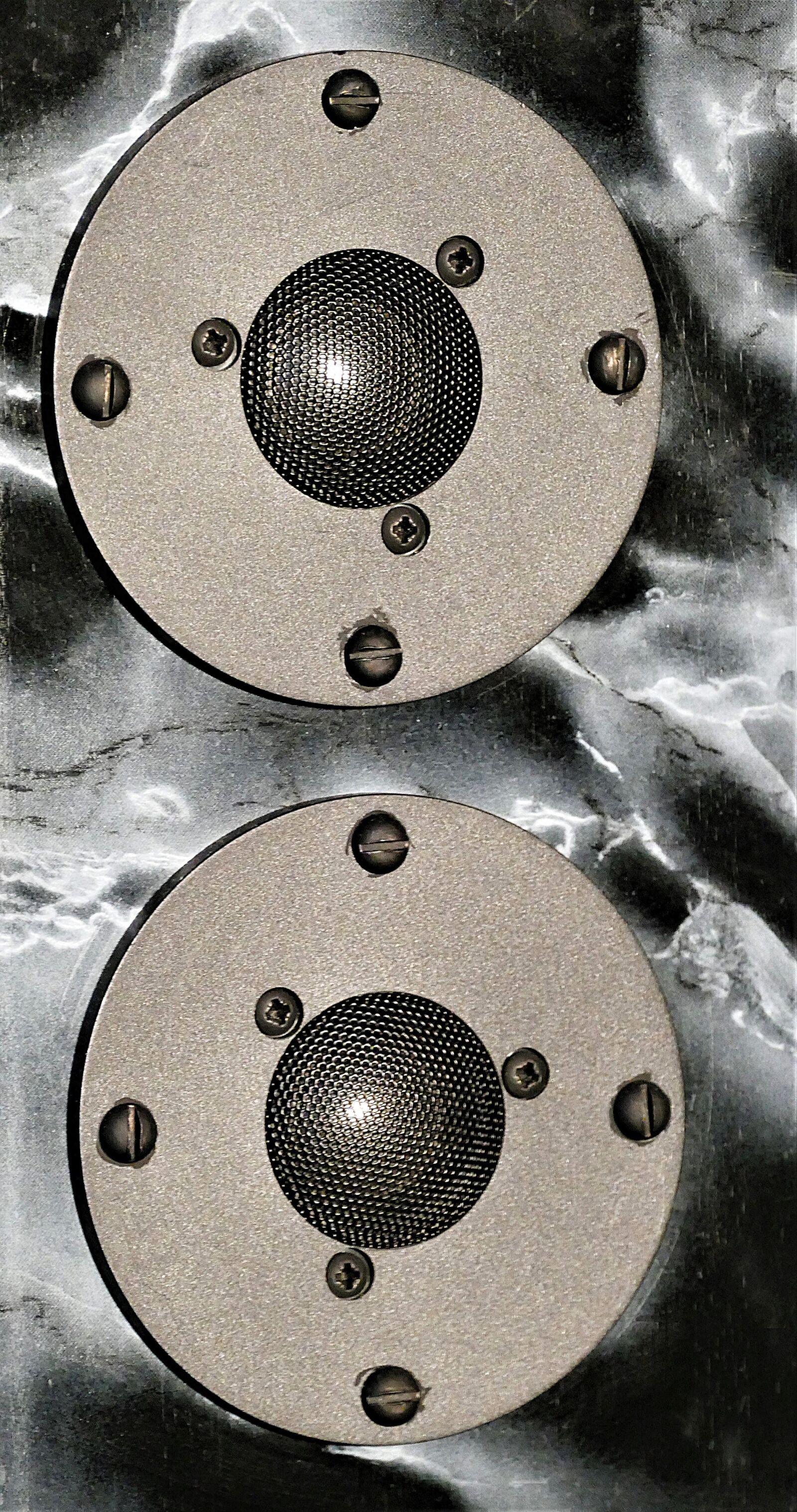 Panasonic Lumix DMC-FZ1000 sample photo. Speakers, dome tweeter, hifi photography