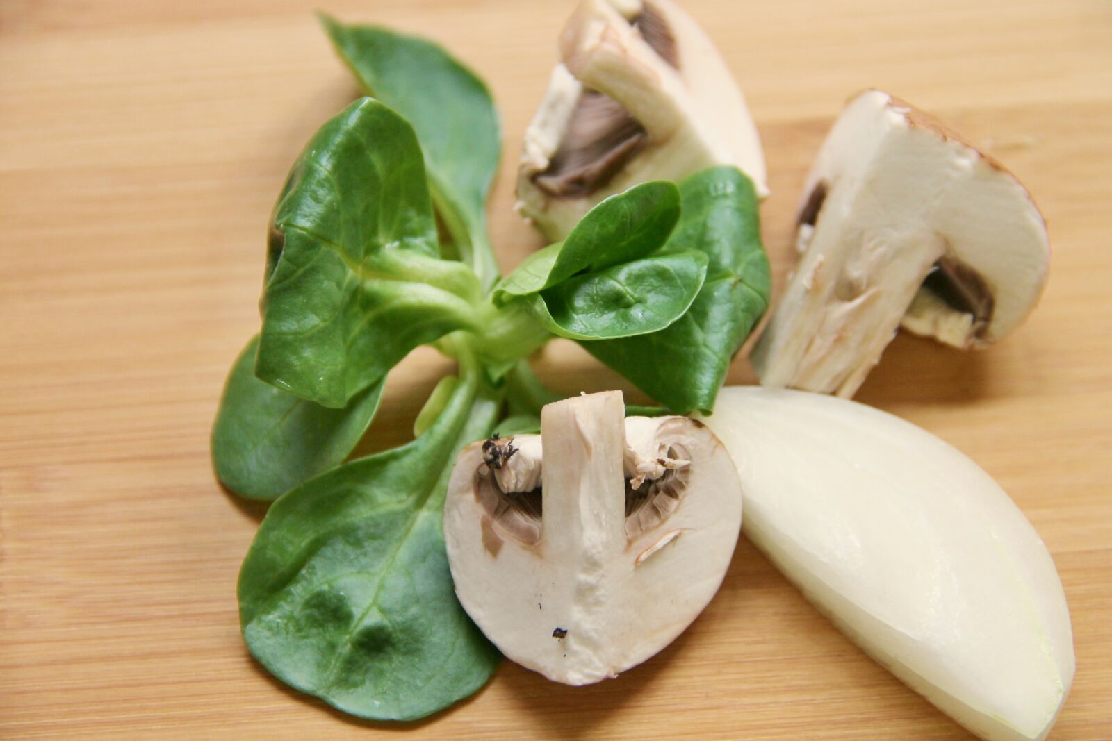 Canon EOS 1100D (EOS Rebel T3 / EOS Kiss X50) sample photo. Mushrooms, cut, lamb's lettuce photography
